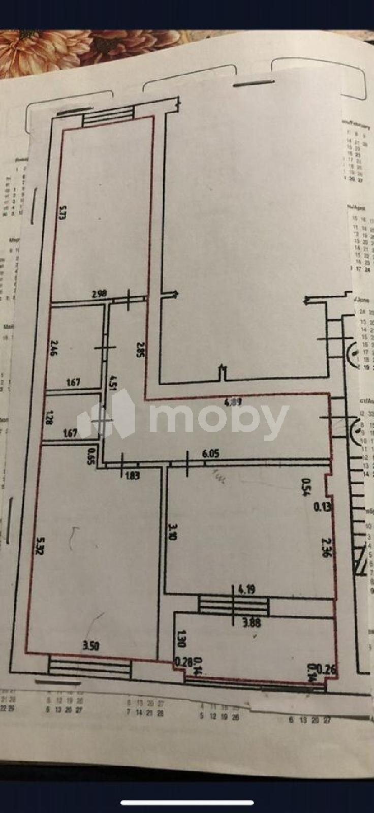 Фото: 53d7334f-014b-4d0c-81c2-bb98db9f7020.jpeg