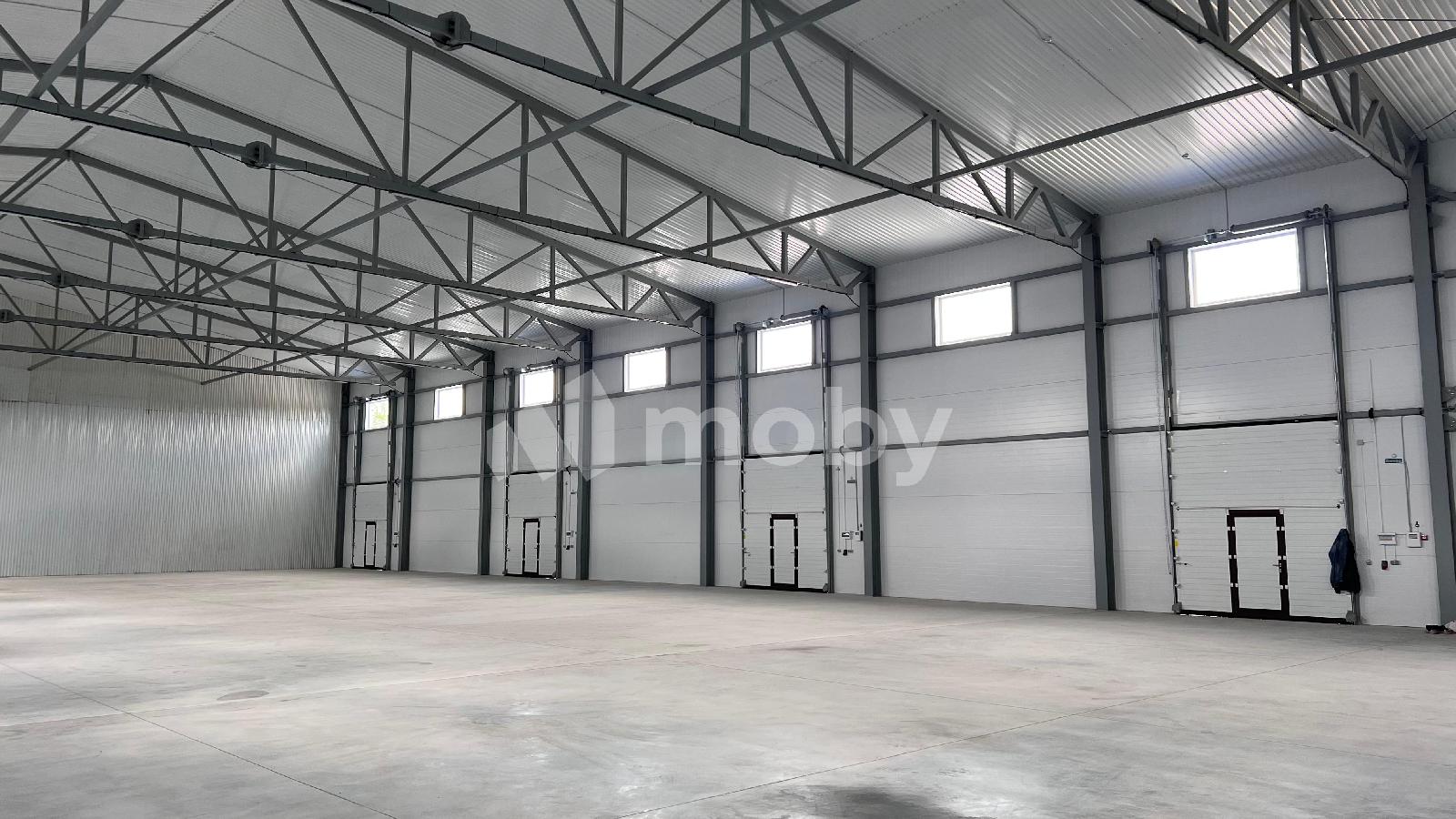 Фото: 53ef5a52-7633-4043-b9c2-64857068b3ee.jpeg