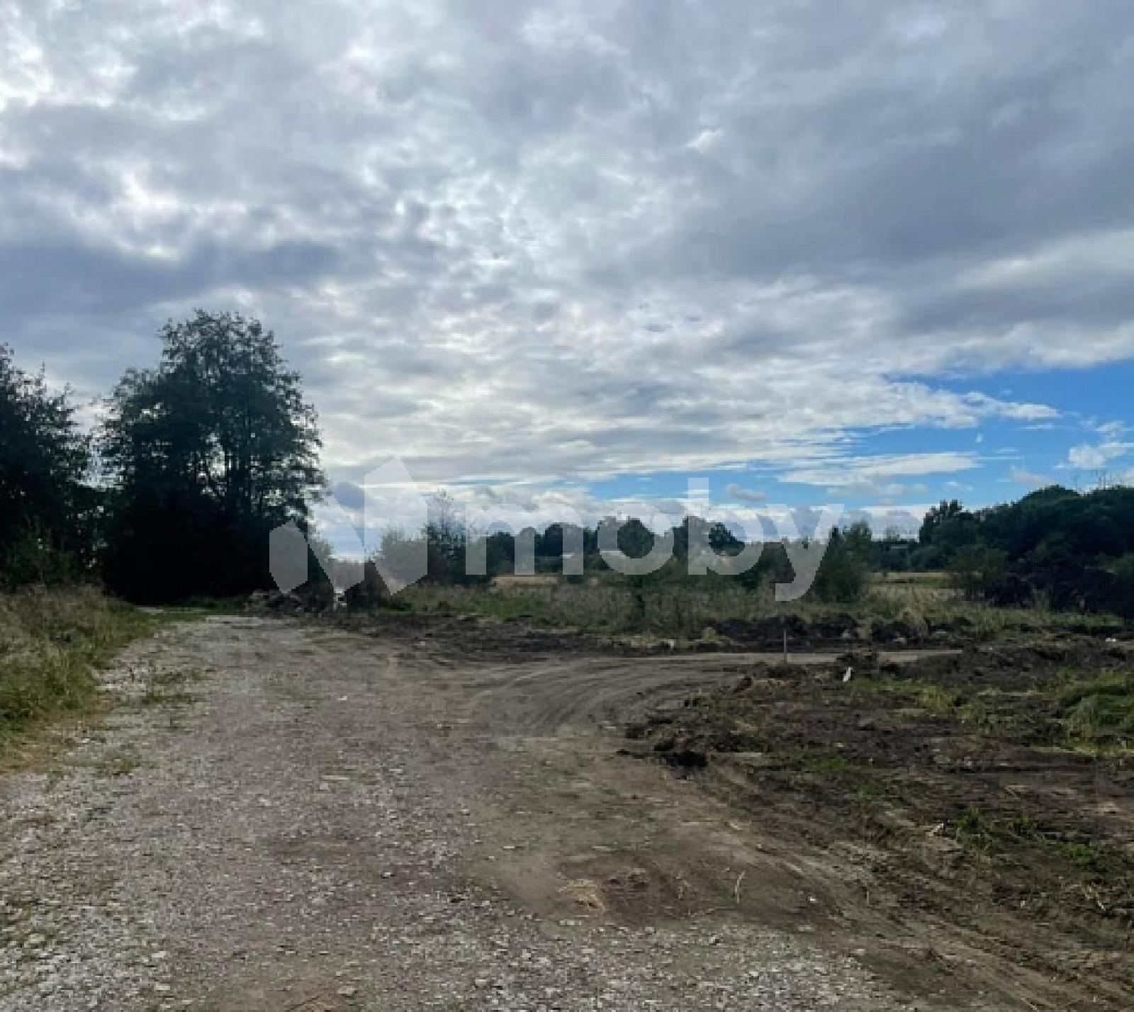 Фото: 54c4ffc2-e163-4ed3-8727-c94c79606d7f.jpg