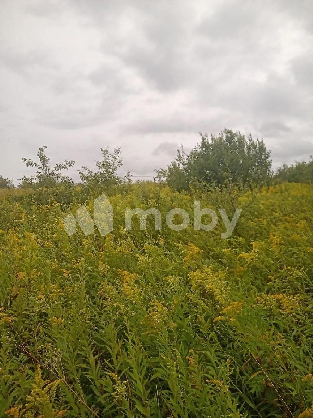 Фото: 567dd7bd-d11c-45e5-9ee3-cc16379fef0f.jpg