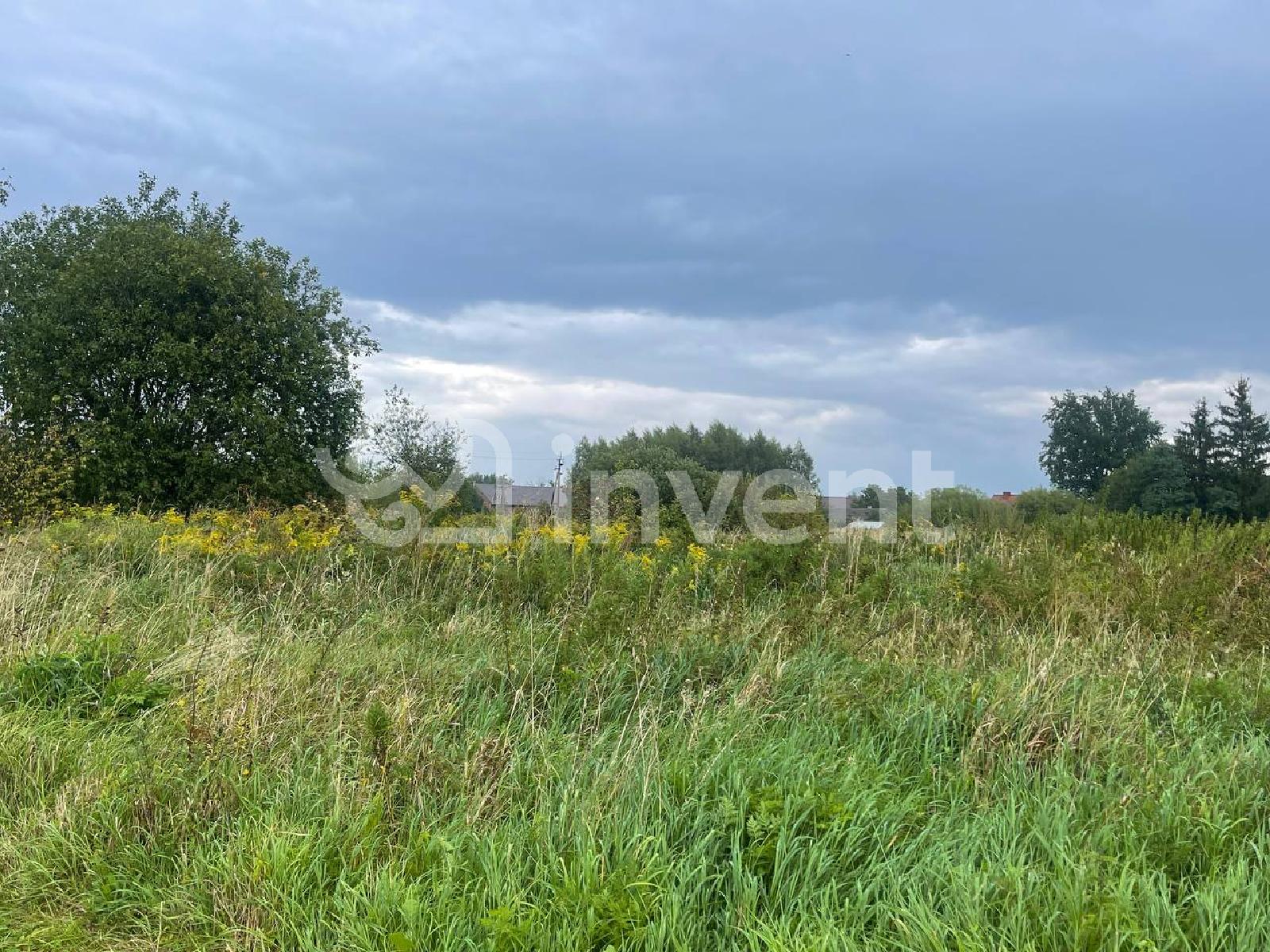 Фото: 56bbb945-1ee5-45a6-bacb-8b47940e0574.jpeg