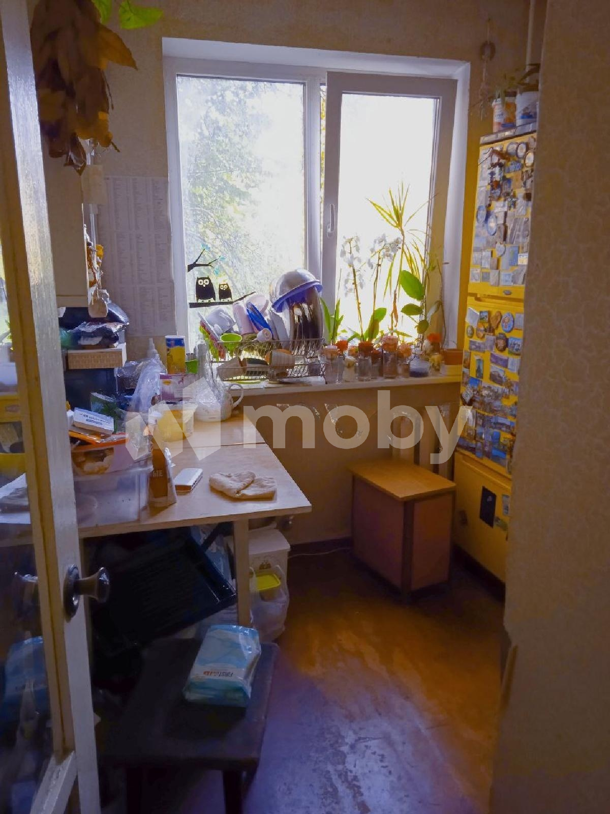 Фото: 5768eae8-667c-4614-81dc-fa7344cae14b.png