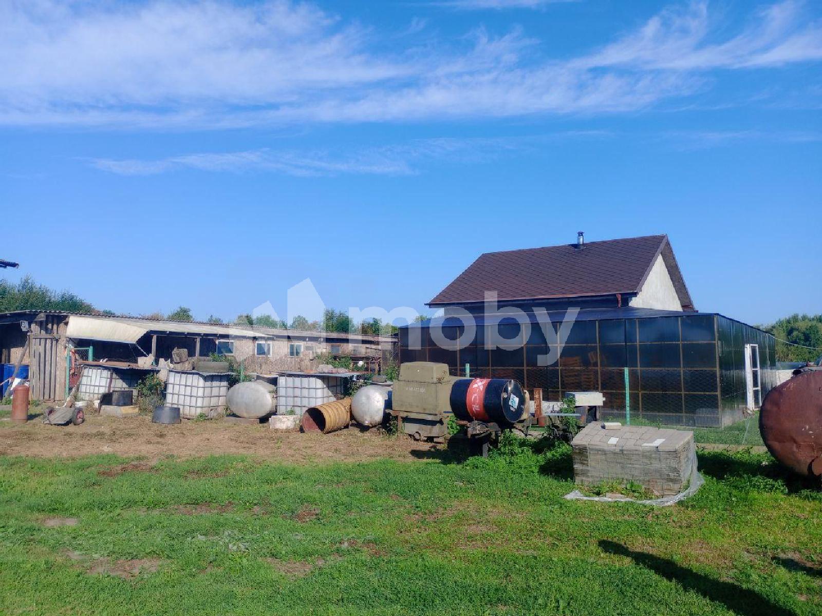 Фото: 57a9084b-418a-49af-92df-8c27c1f2d076.jpg