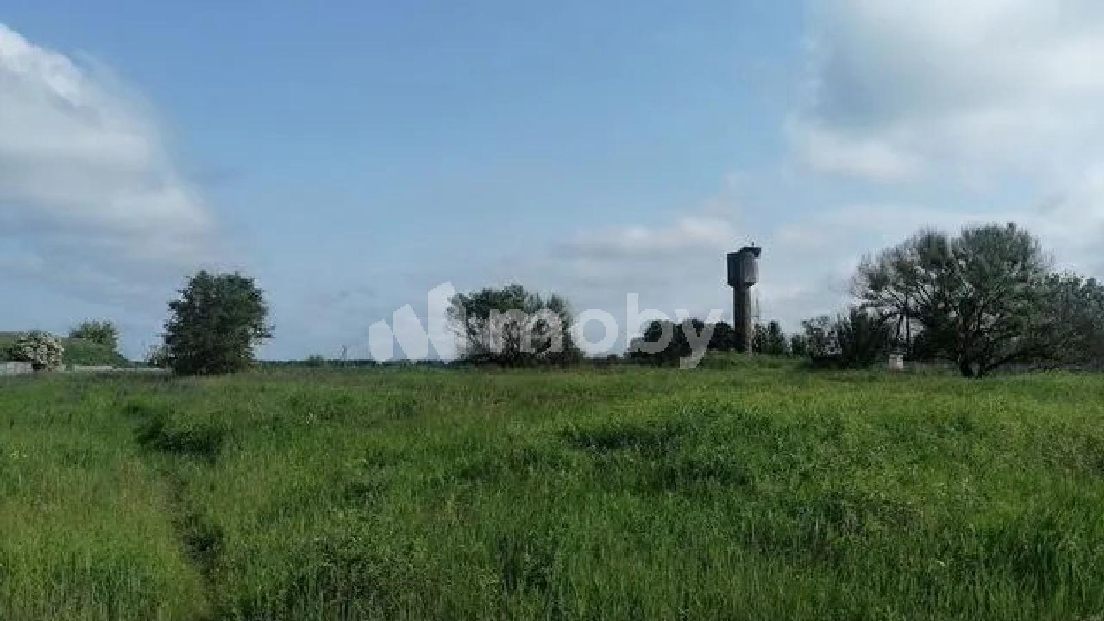 Фото: 58737185-4ed0-418e-ac15-6620063bc36c.jpeg