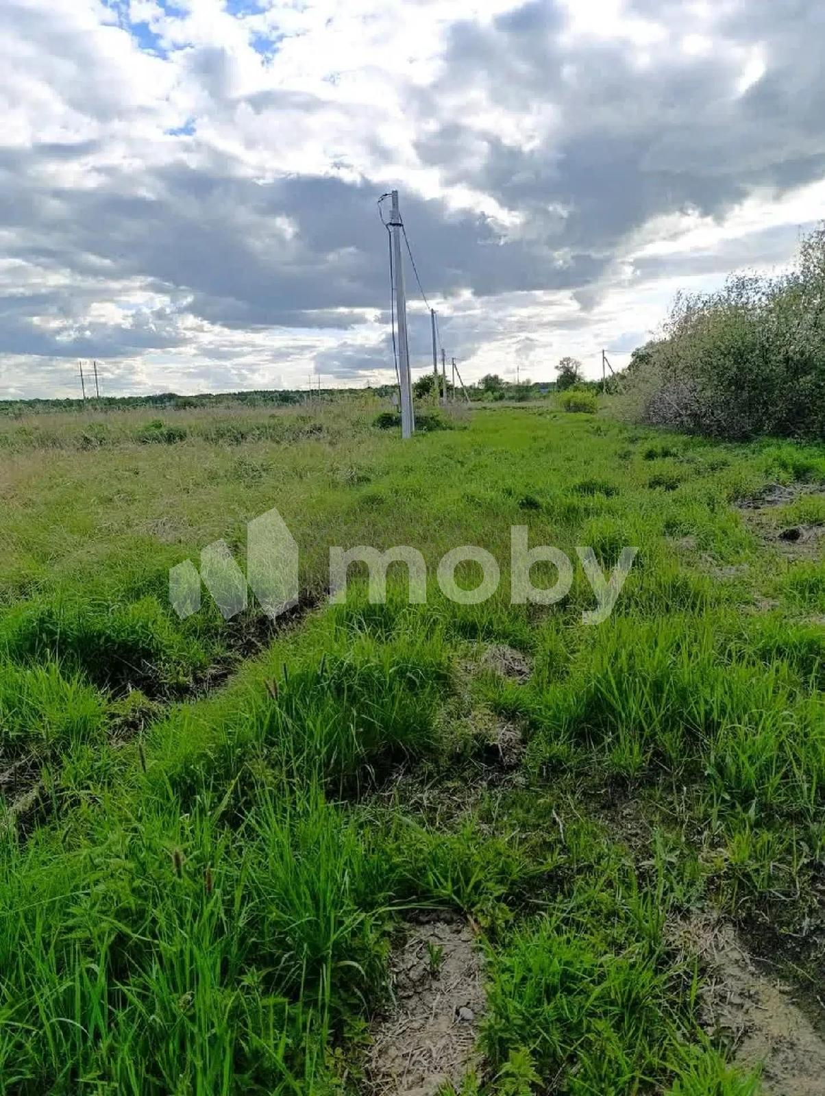 Фото: 5897f0c7-775b-4d30-9daf-c8ff3f2a9e1e.jpg