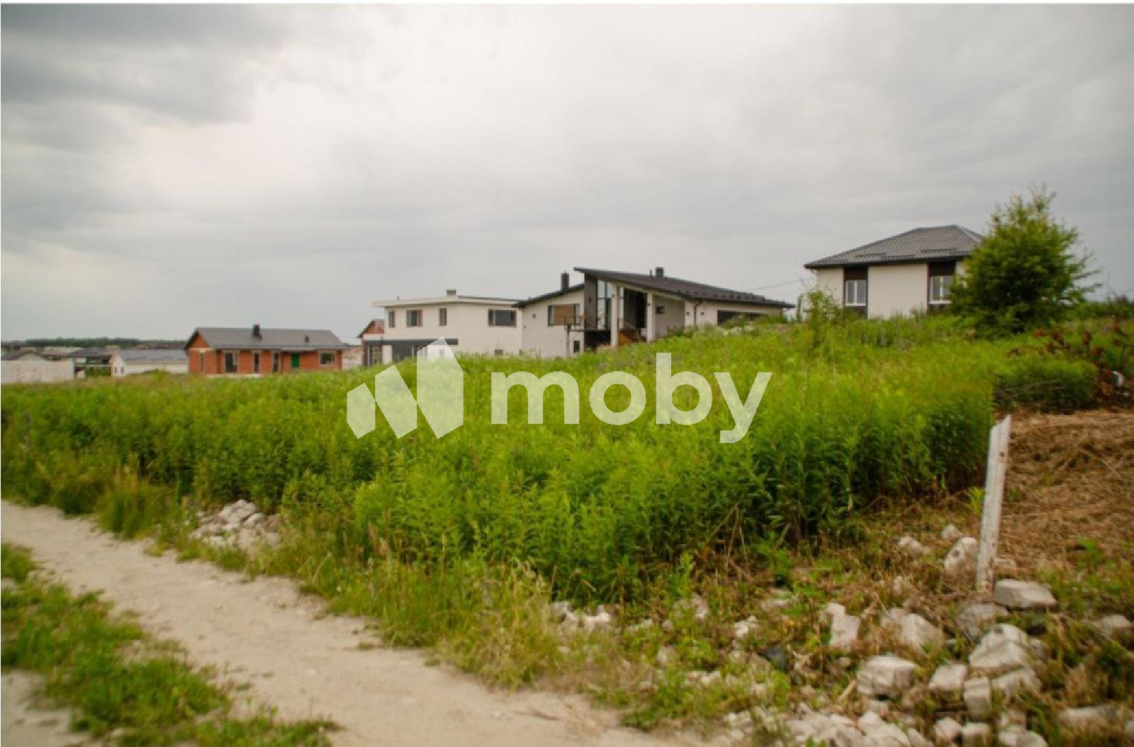 Фото: 59867858-fbf4-46cc-9d43-f9138eec9cd4.png