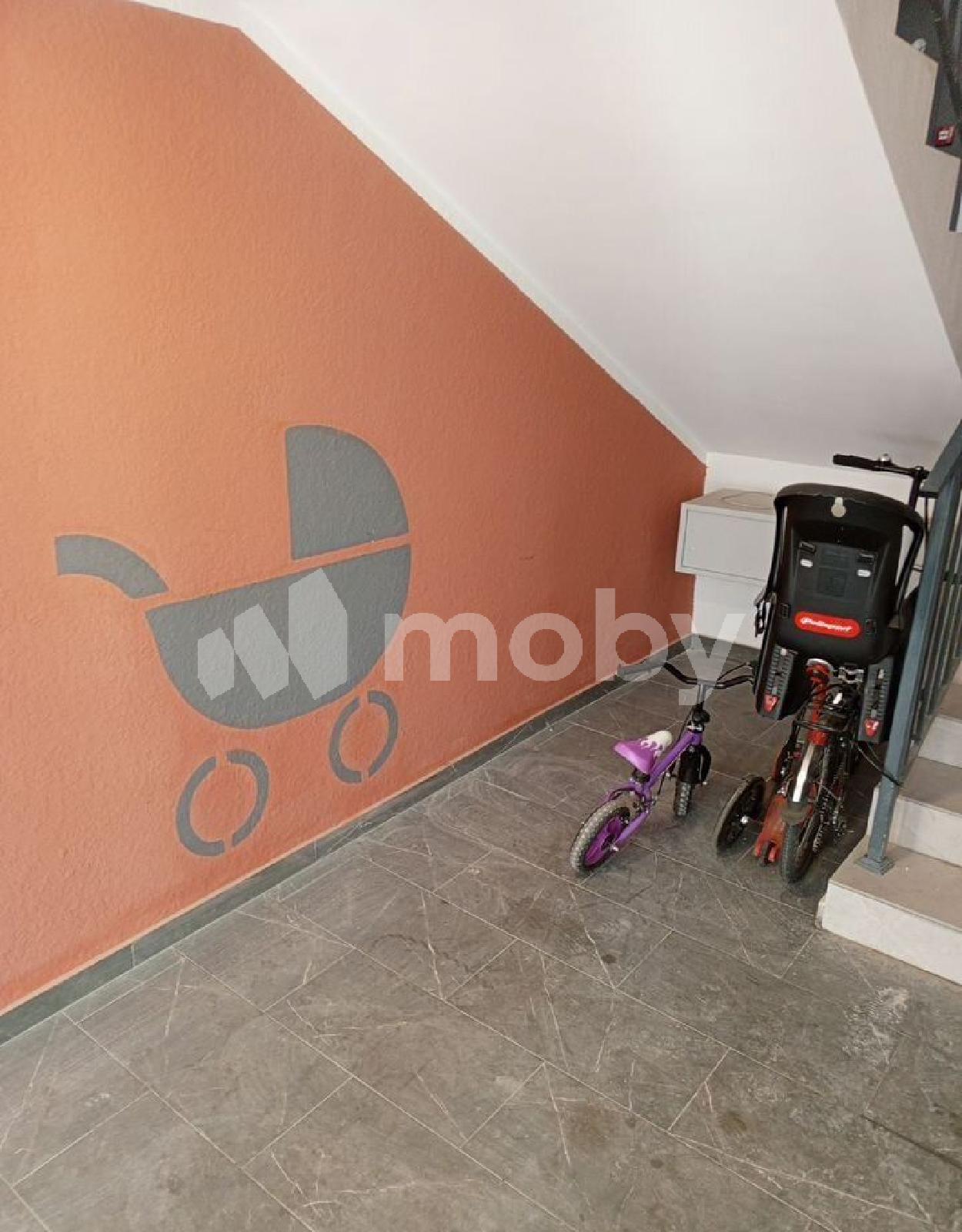Фото: 5addc568-f5cf-41dd-af4a-df3a74c8c185.jpg