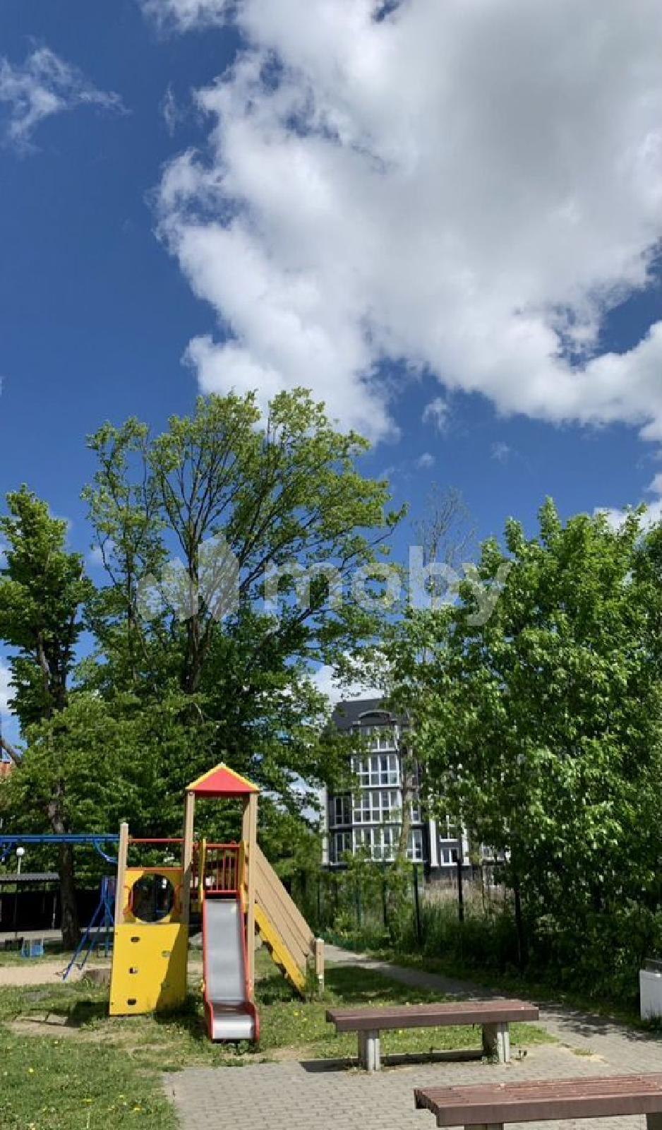 Фото: 5b0a744a-deef-401d-a24a-a29672e1f50a.jpg