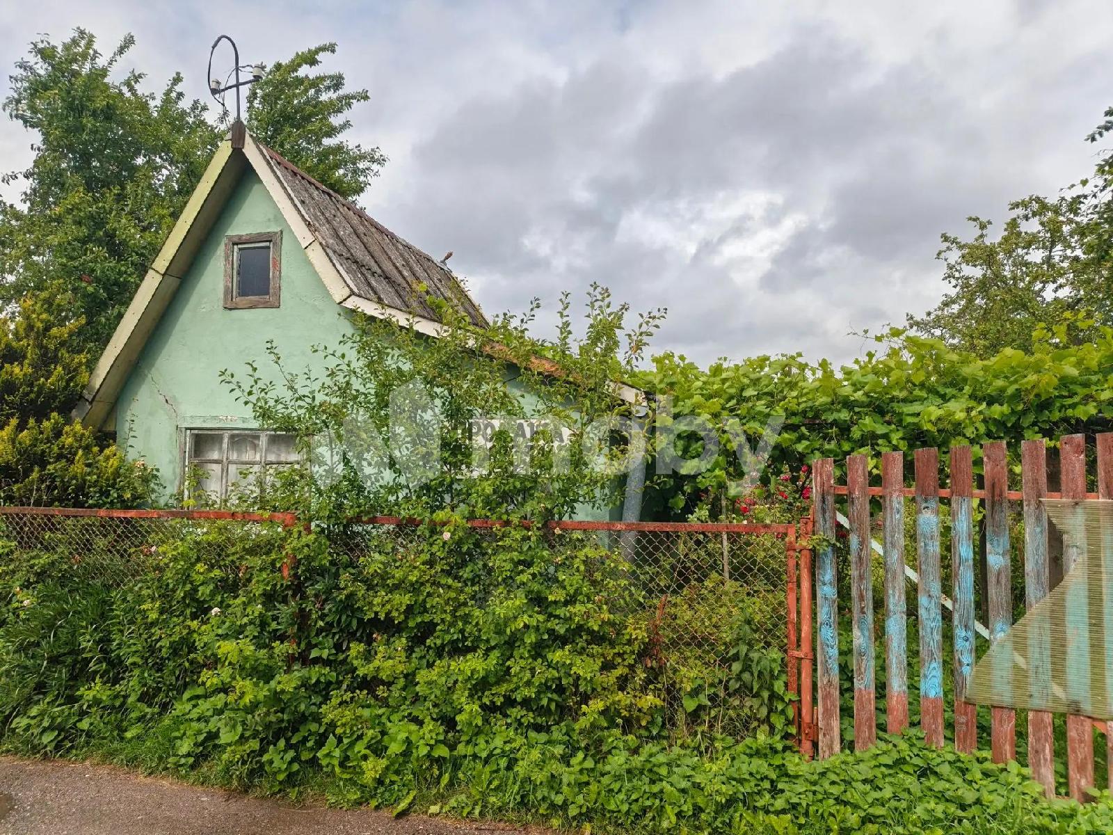Фото: 5bd994d7-715c-4031-98a5-85b052cda4a2.jpg