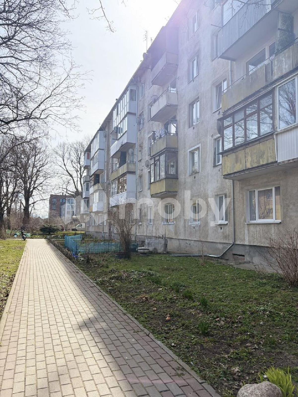 Фото: 5c994e95-6dab-4c7c-8f47-167f083dd8b2.jpg
