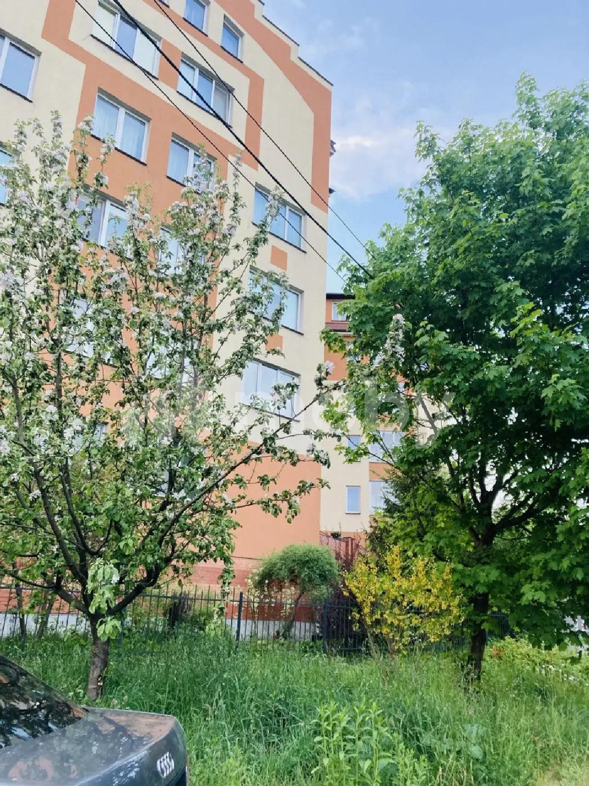 Фото: 5cab35d9-0214-40af-b4b2-e3d5c0e9d604.jpg