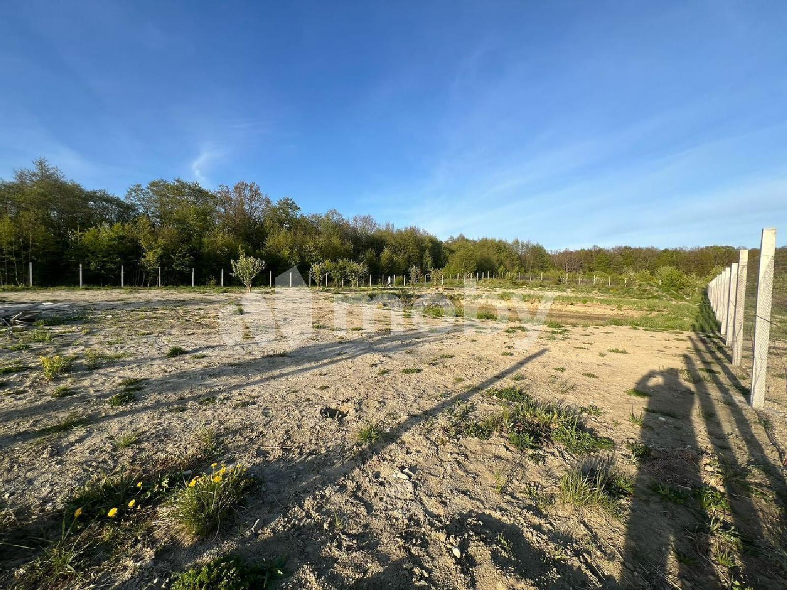 Фото: 5cc20f73-0b95-4a6b-860d-c978b062d43b.jpg