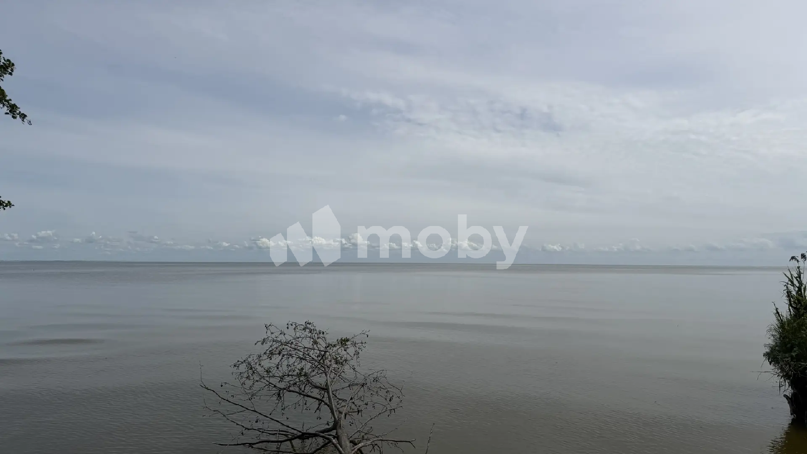 Фото: 5cfcb18f-ca9c-4162-ad41-04d7b4a37075.png