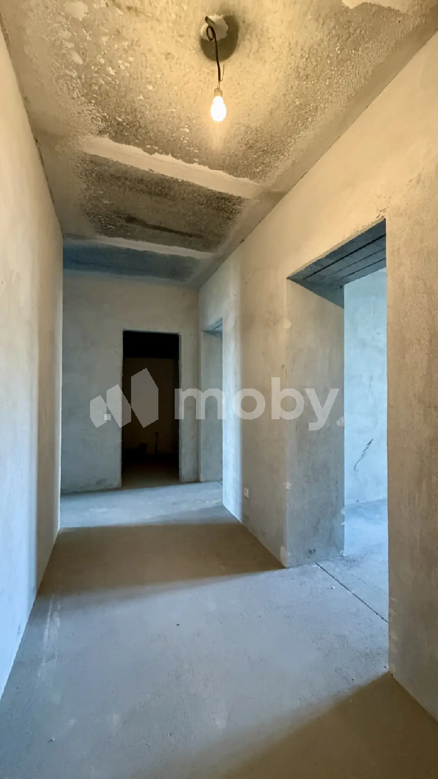 Фото: 5d031d06-4069-4b84-959f-e1af8a93b8f0.png