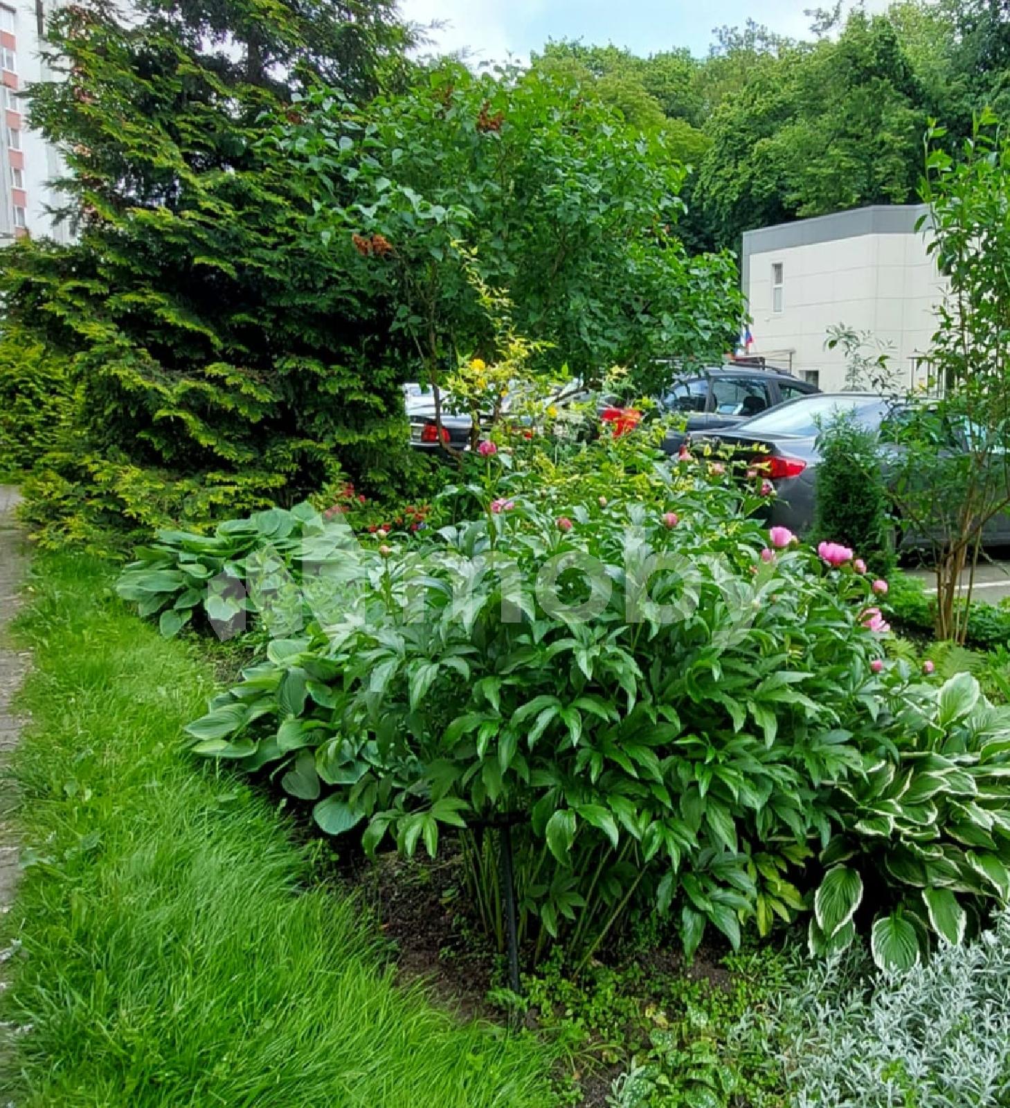 Фото: 5d17cfb9-70f1-4622-b3f1-81ee64ffe6da.jpg