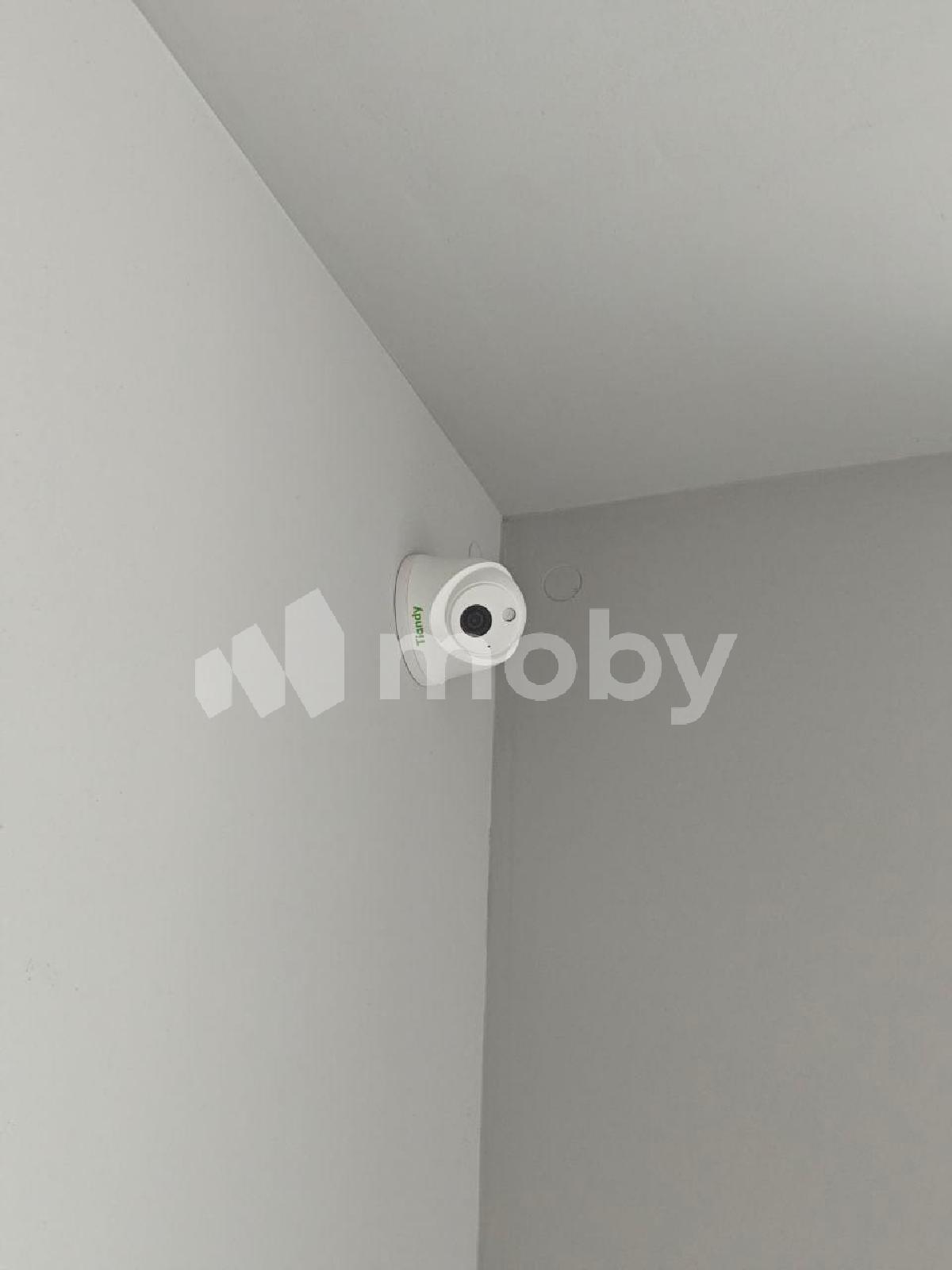 Фото: 5dd50db7-afc9-4fb8-bcac-c811f3e4f27c.jpg