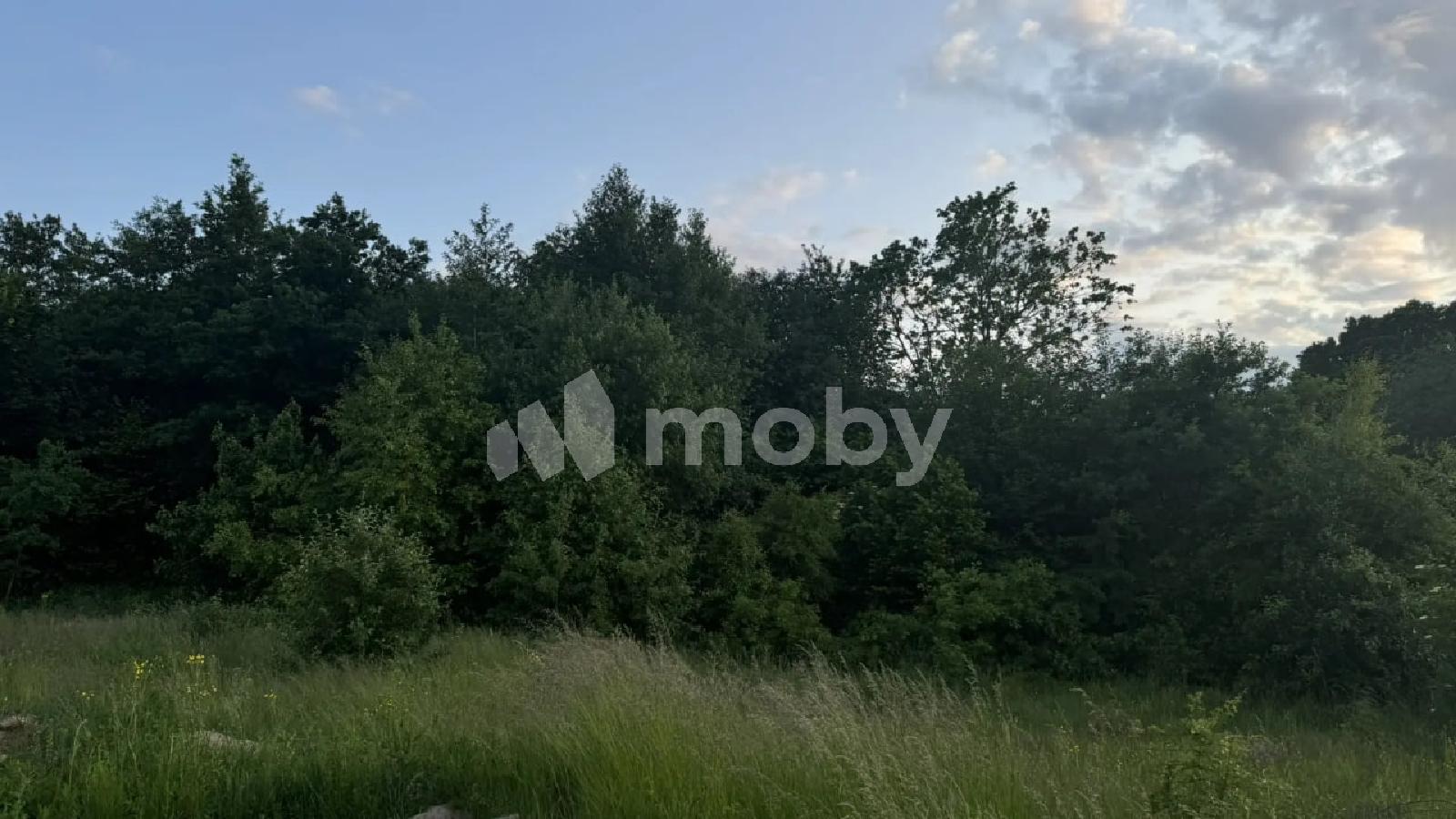 Фото: 5fd86223-1e37-4e26-bcb7-edfd39bc259f.jpg