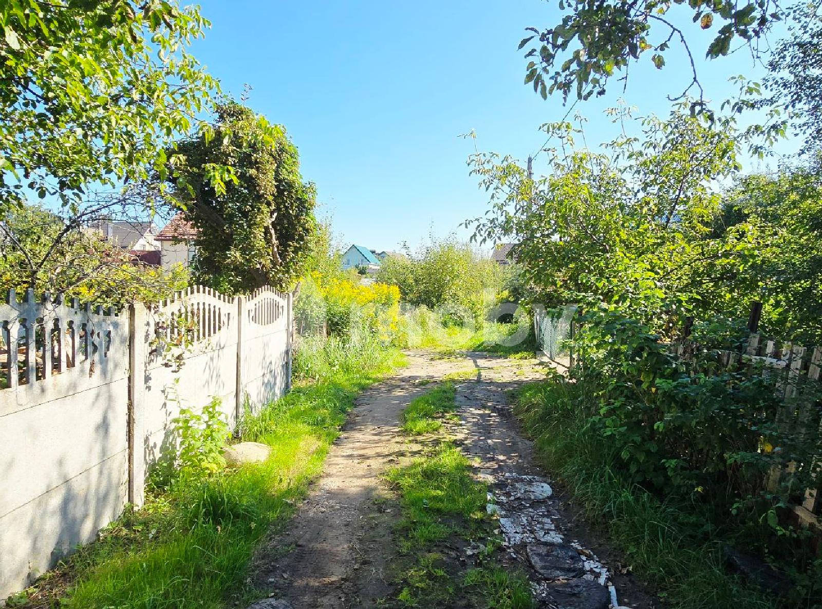 Фото: 5fee15f3-61eb-4298-bfe5-a1f067d7ca7d.jpg