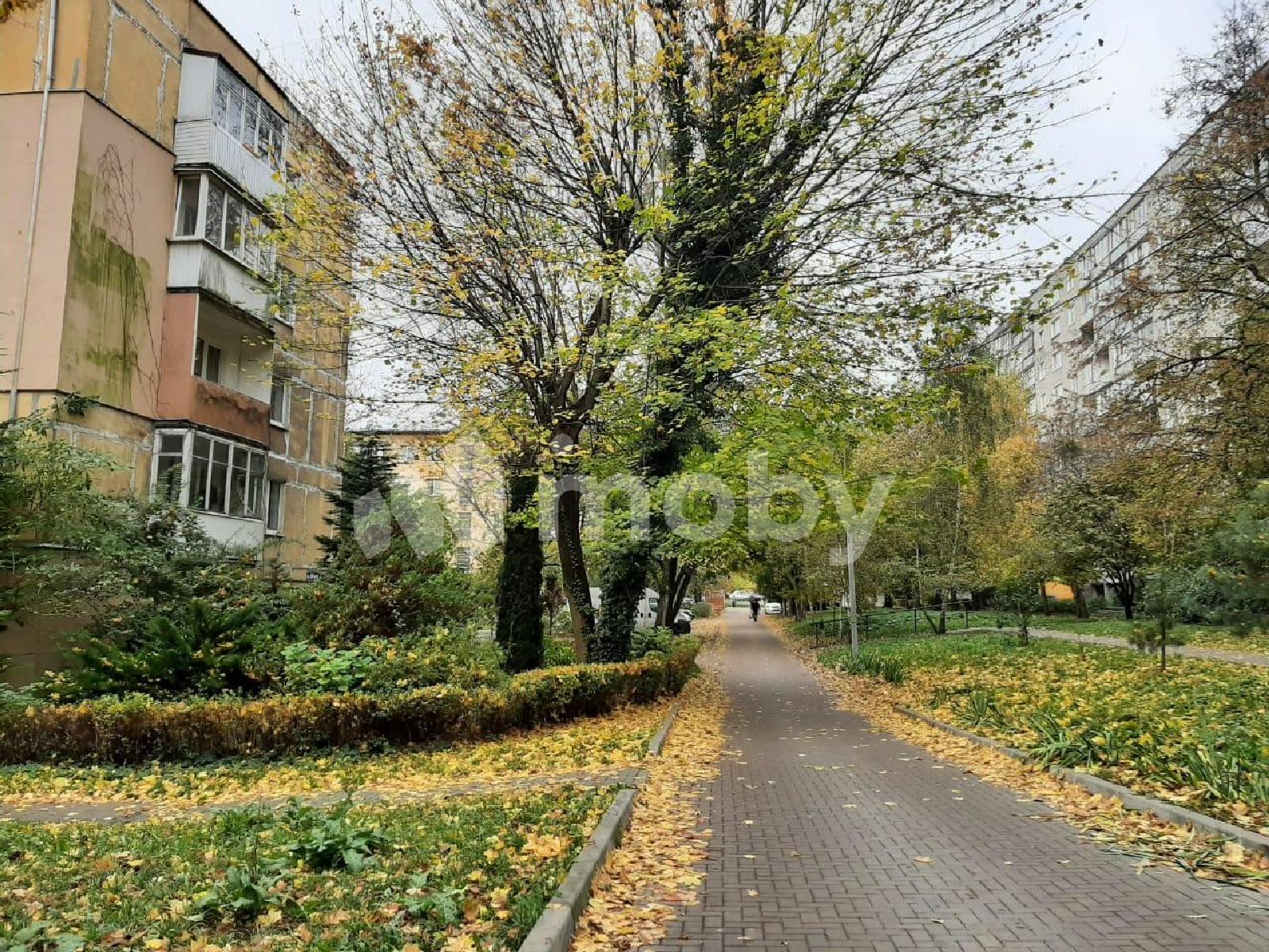 Фото: 60750060-0b38-4464-807a-387bf167dea2.jpeg