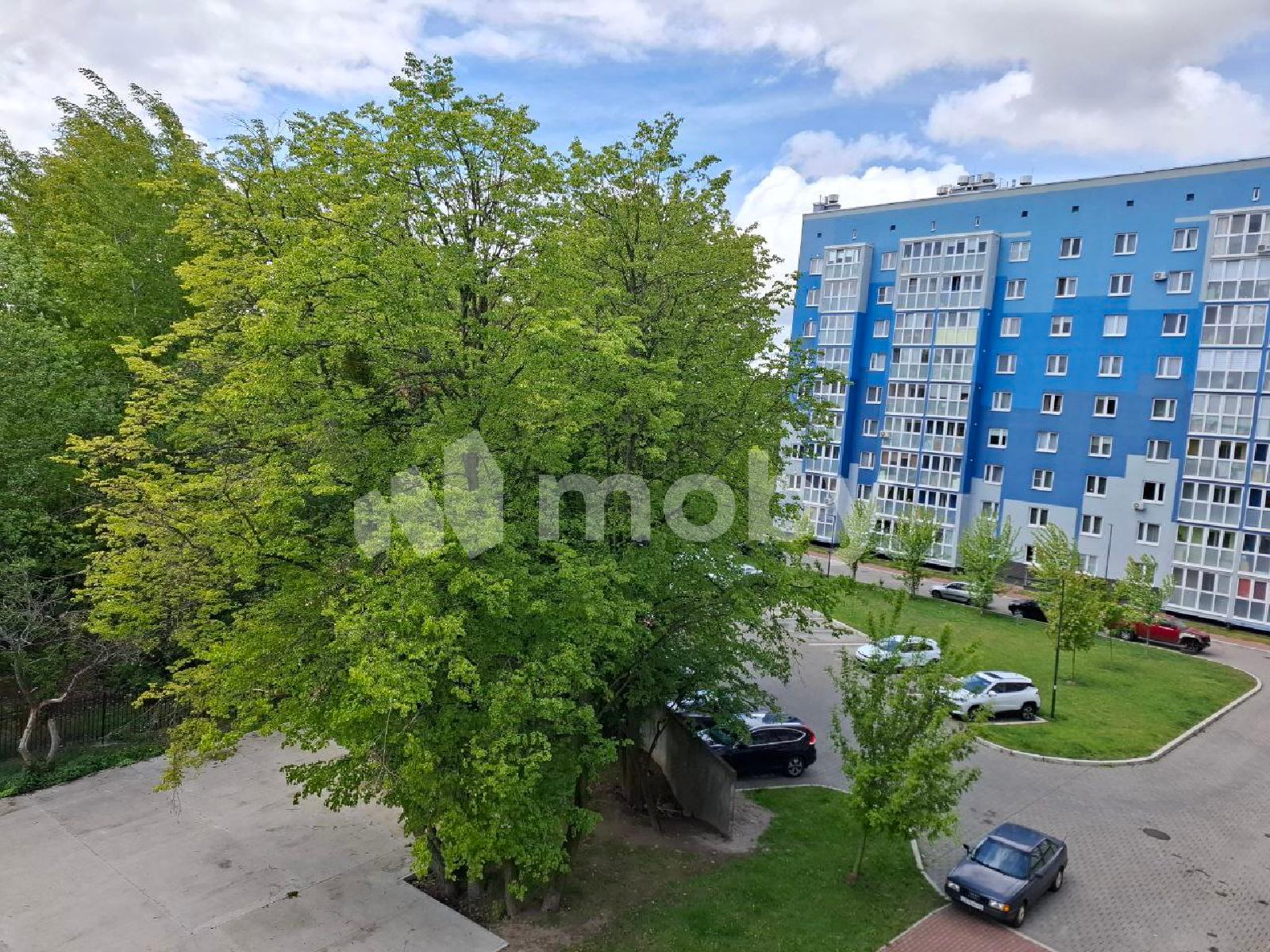 Фото: 60bcf9b2-5d7a-4f1c-8f4f-bf200bf6a8da.jpg