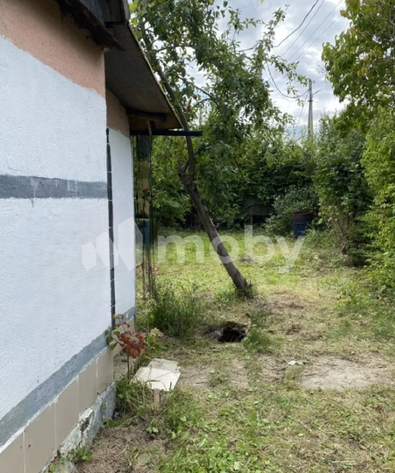 Фото: 6197ceb9-0804-4047-b776-d06940e0c317.png