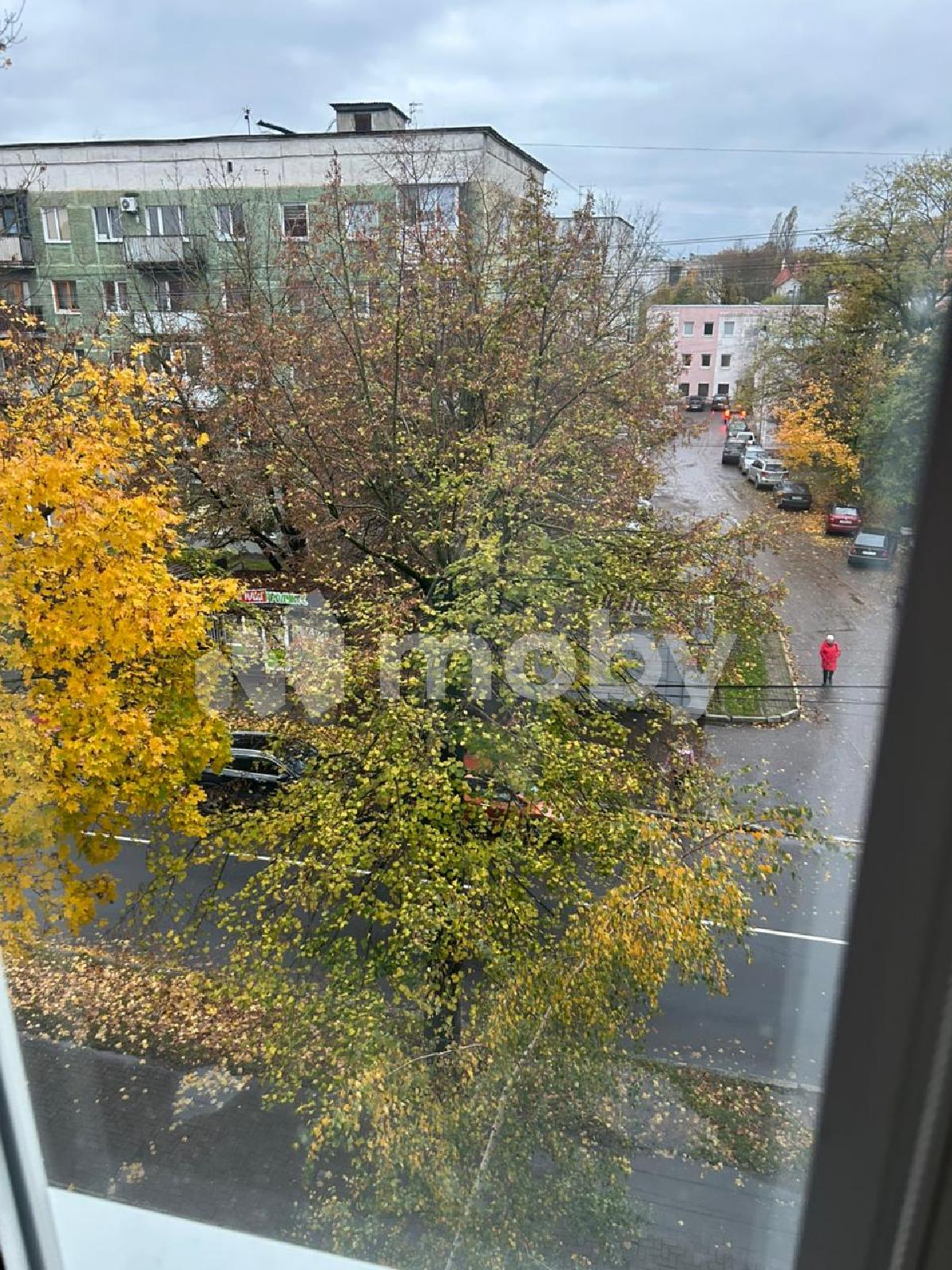 Фото: 61dc8e0d-e8a0-48ca-87e1-9a6d80cd91e6.jpg