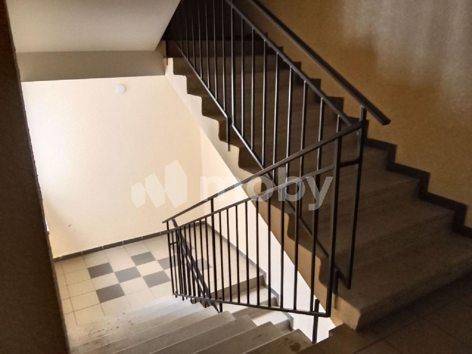 Фото: 627310d0-9799-45fa-9bcd-44b37bbd25af.jpg