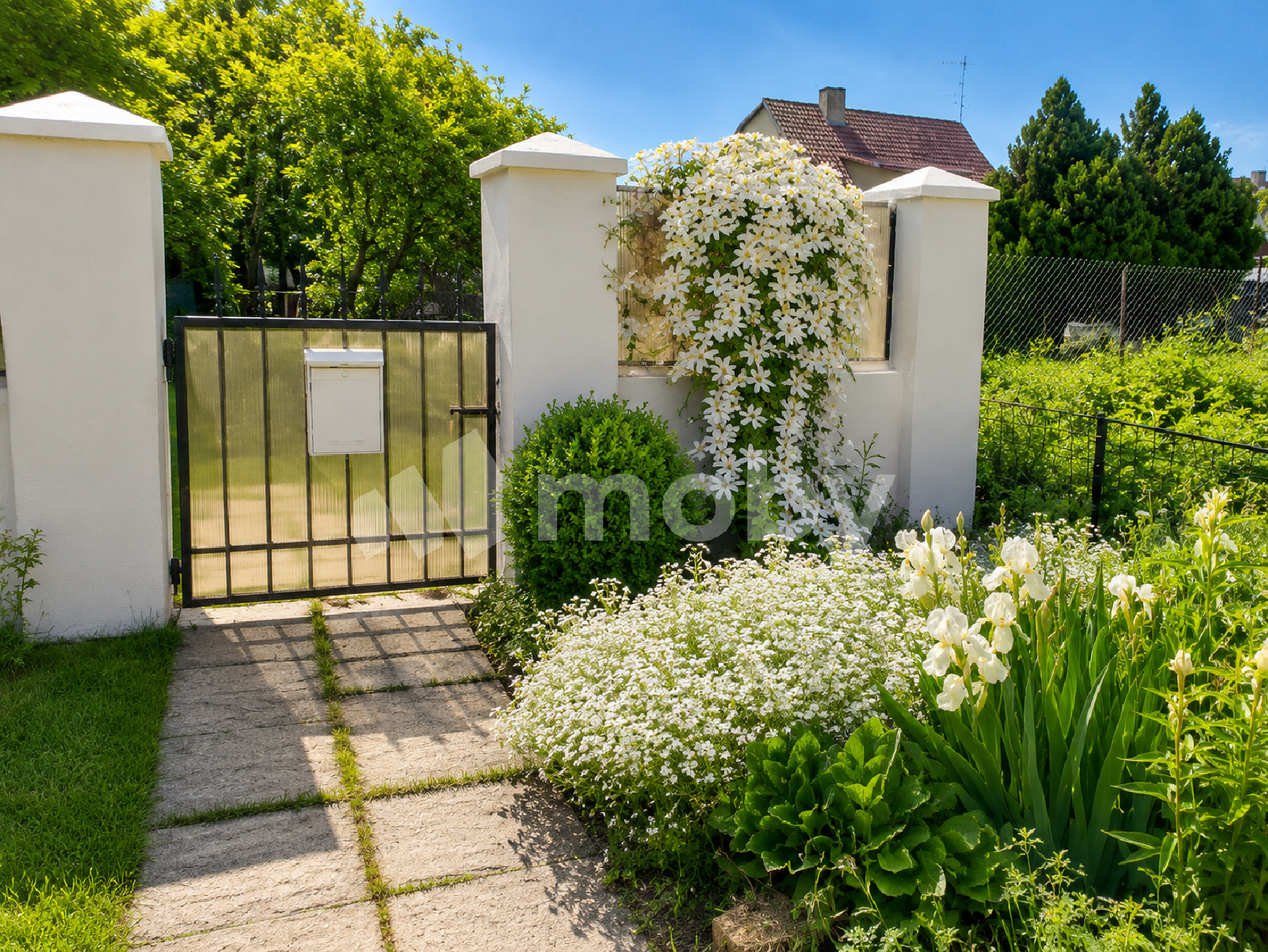 Фото: 63325794-c2f0-415d-8d5c-e3d2bb155c65.png