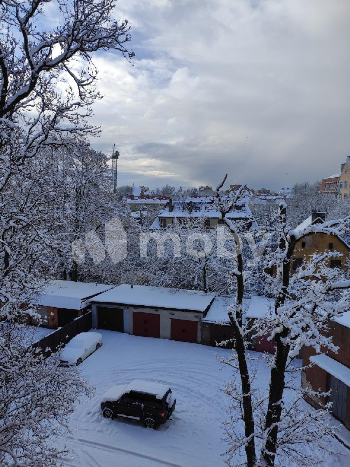 Фото: 63bd8a61-2fcb-4280-a7f1-2f3cc51aa18e.jpg