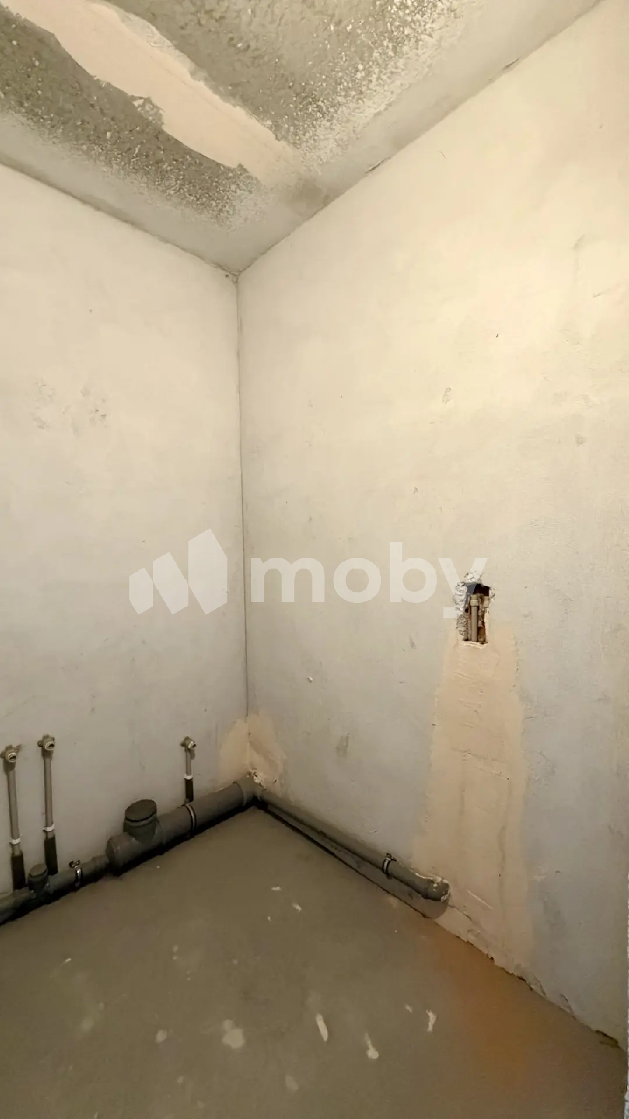 Фото: 64862f1b-c202-4afa-9e9f-98a74264f018.png