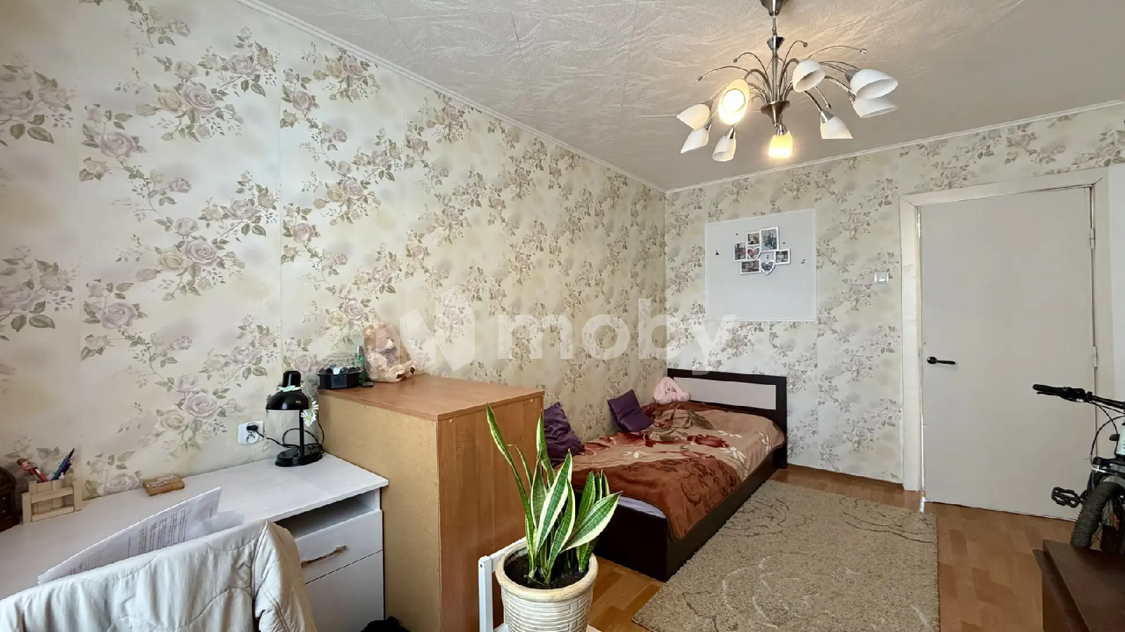 Фото: 64a214fb-0bb9-47cb-a1ec-b9545336d3b2.png