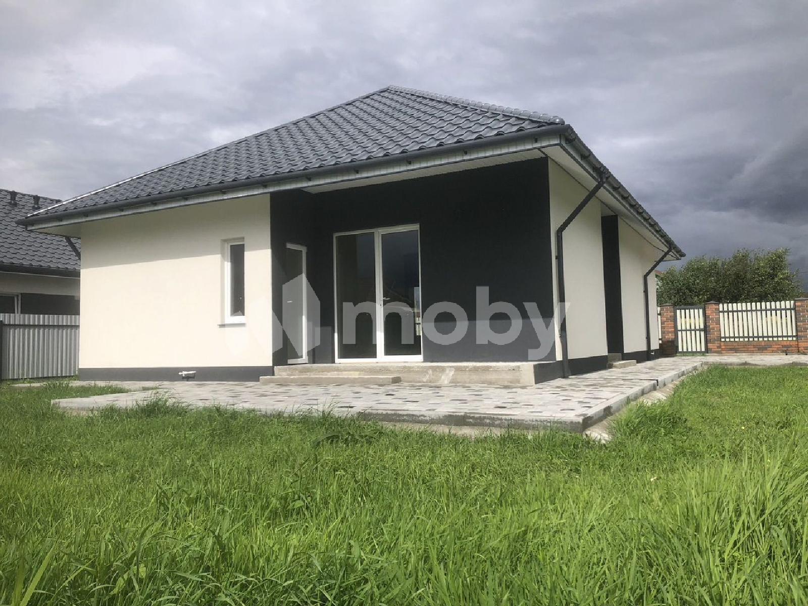 Фото: 6519766b-71df-4adf-a7aa-14d6c87334d4.jpg