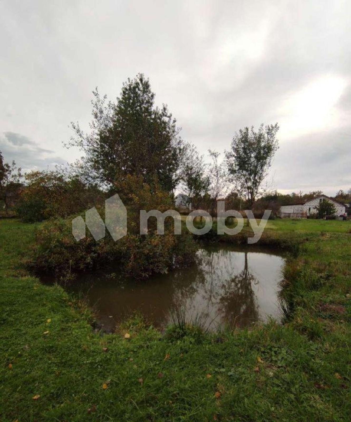 Фото: 657892e9-e57a-464b-b42d-f0c00ec54b2e.jpg