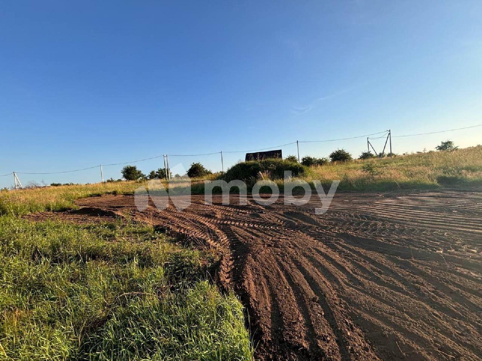 Фото: 6635f9f4-81f6-4974-b04e-203d65641fa6.jpg