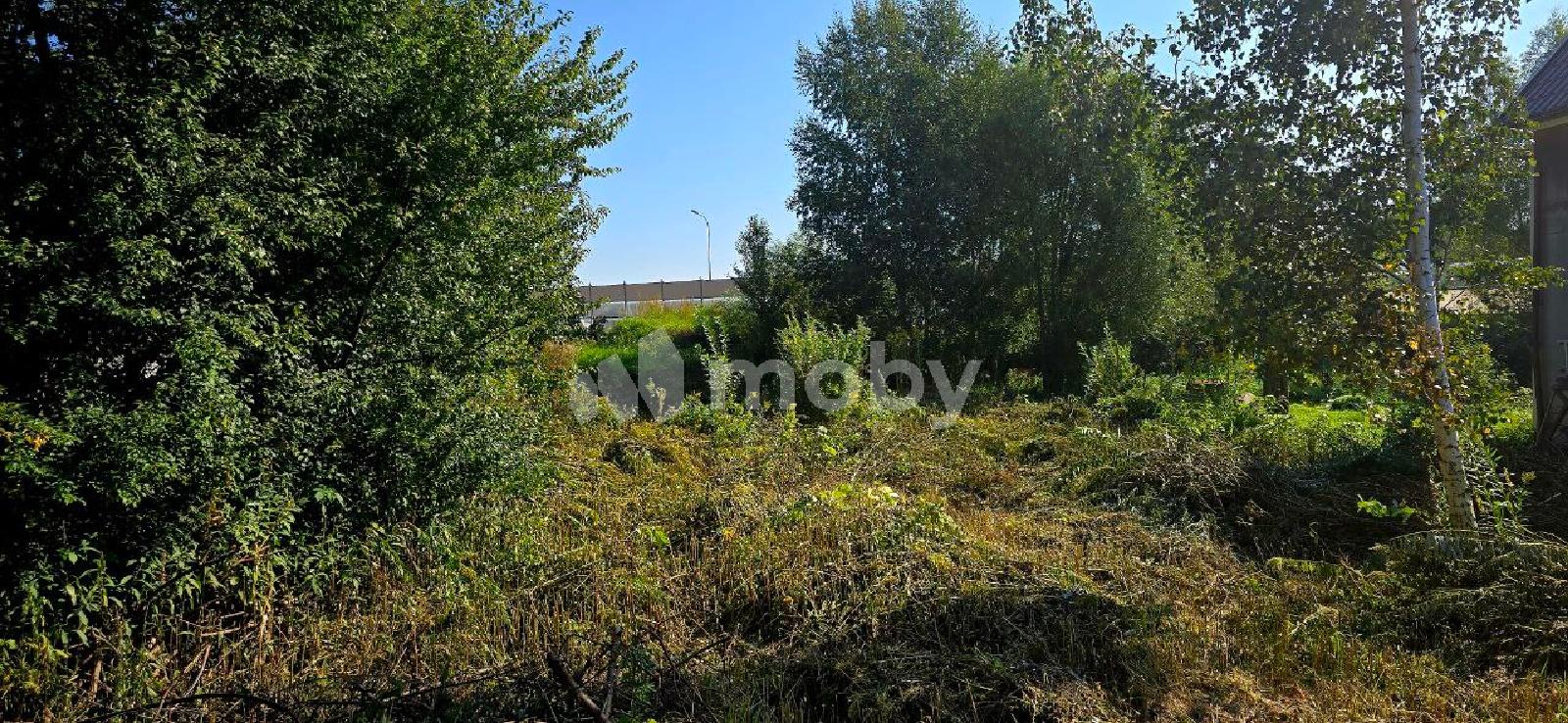 Фото: 6739a1ed-86fb-4516-84f1-9853bee2de78.jpg