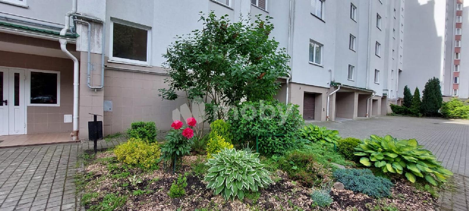 Фото: 68053847-ddf0-40a8-bb42-eb669811aea6.jpg