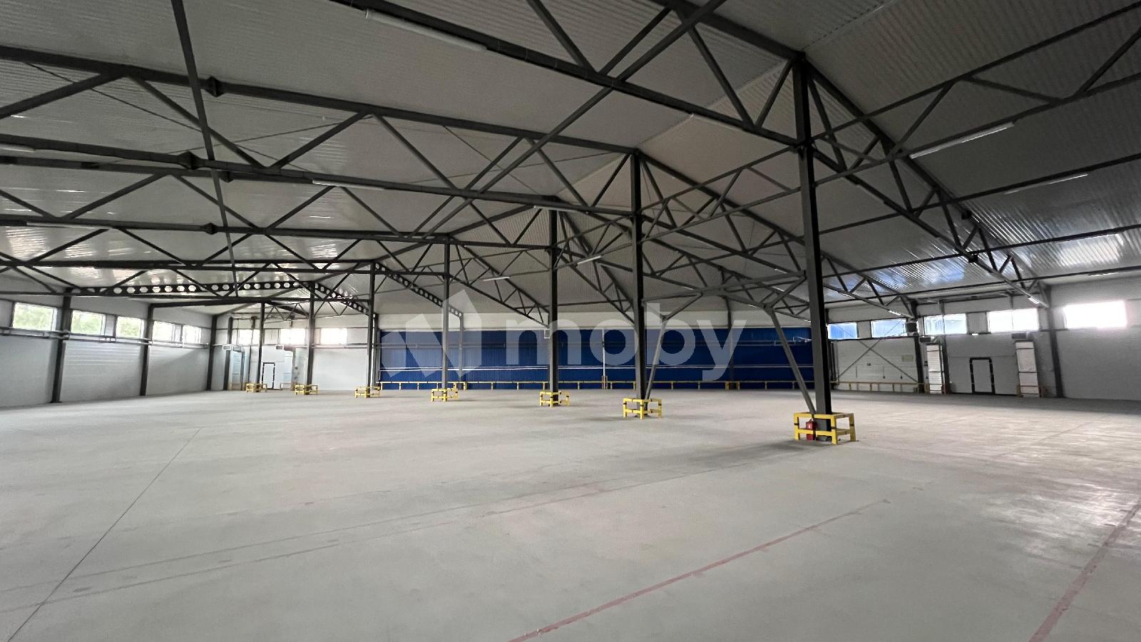 Фото: 6984564f-9d50-427b-8693-df4f93a111cd.jpeg