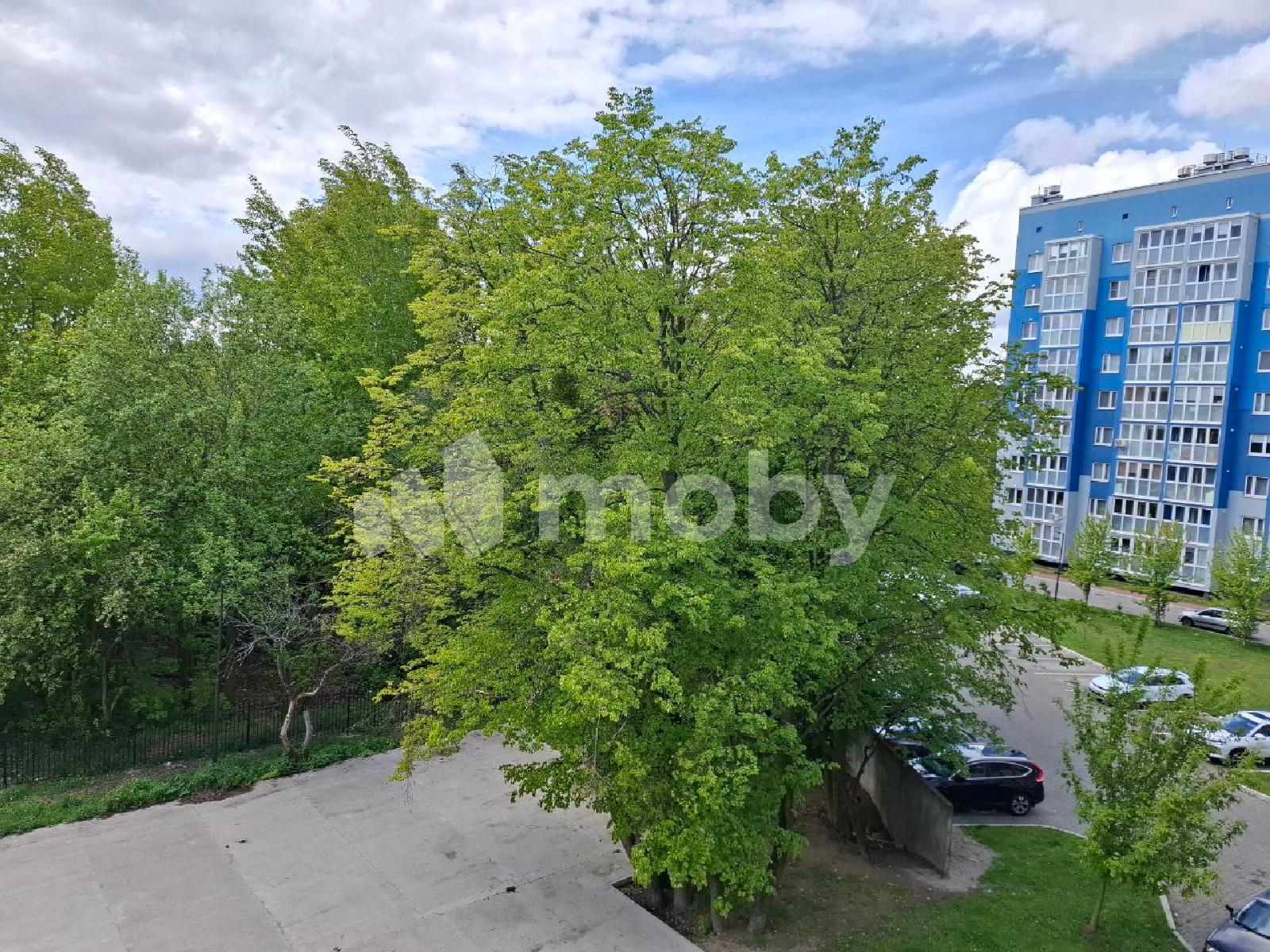 Фото: 6a473527-eb15-4452-8850-3d0b56fbc35d.jpg