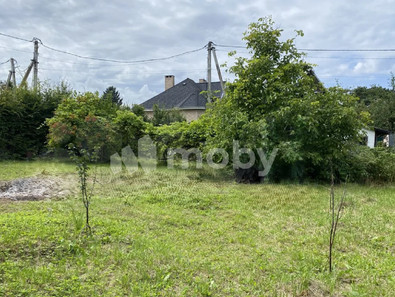 Фото: 6b3645e2-33cd-49cb-90c6-527c590c3018.png