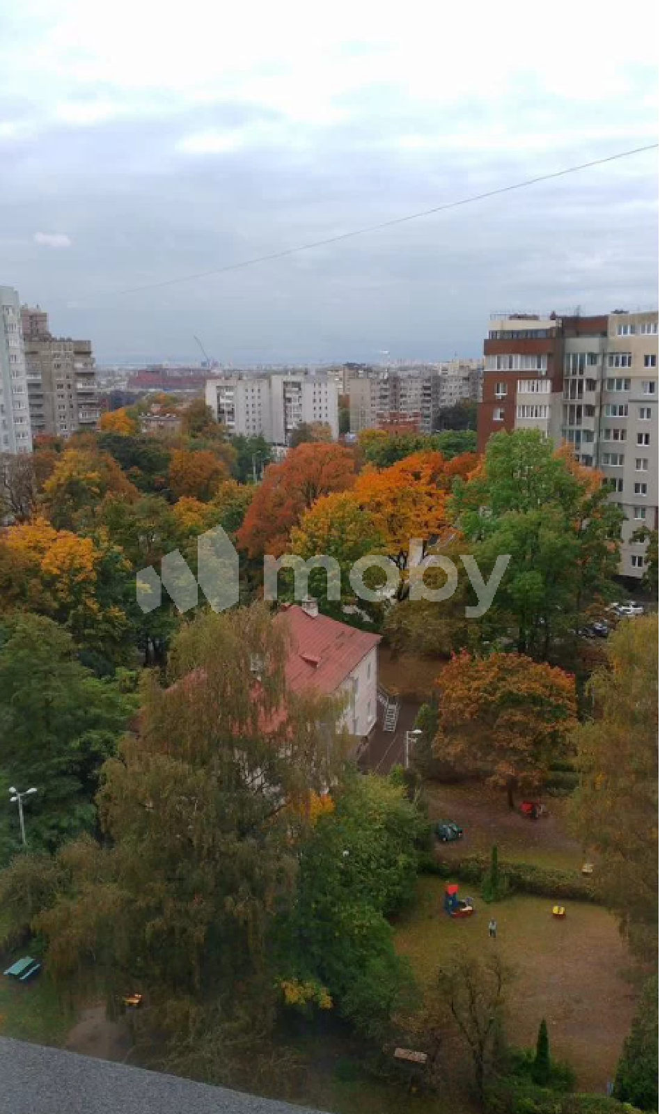 Фото: 6bbb54bb-e9b5-4379-b2fb-e6b65a8ff5ef.png
