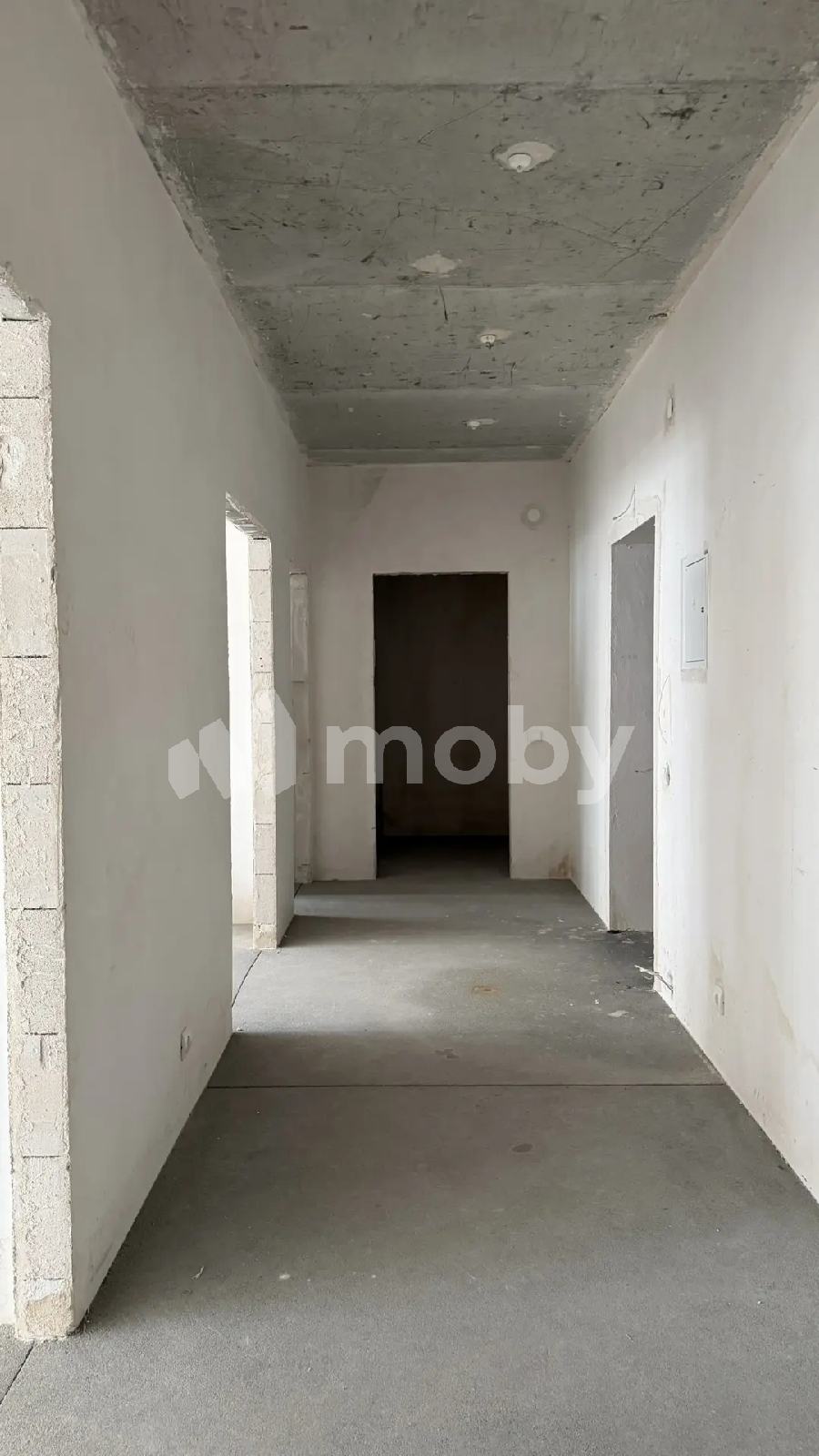 Фото: 6cf3465d-4640-4221-9e57-e029de4c0f39.png