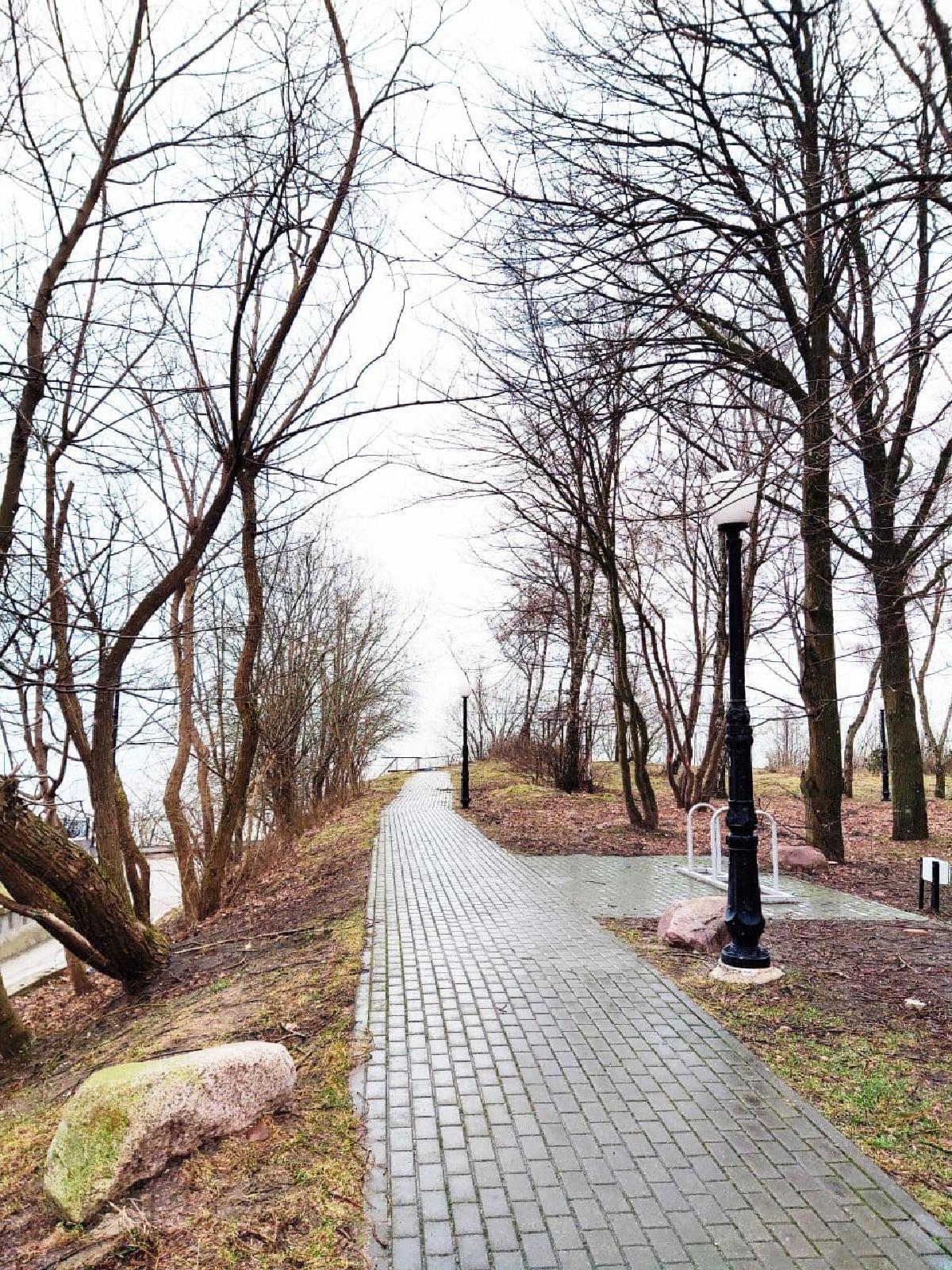 Фото: 6d968c0c-af52-4da3-931f-f323f593d427.jpg