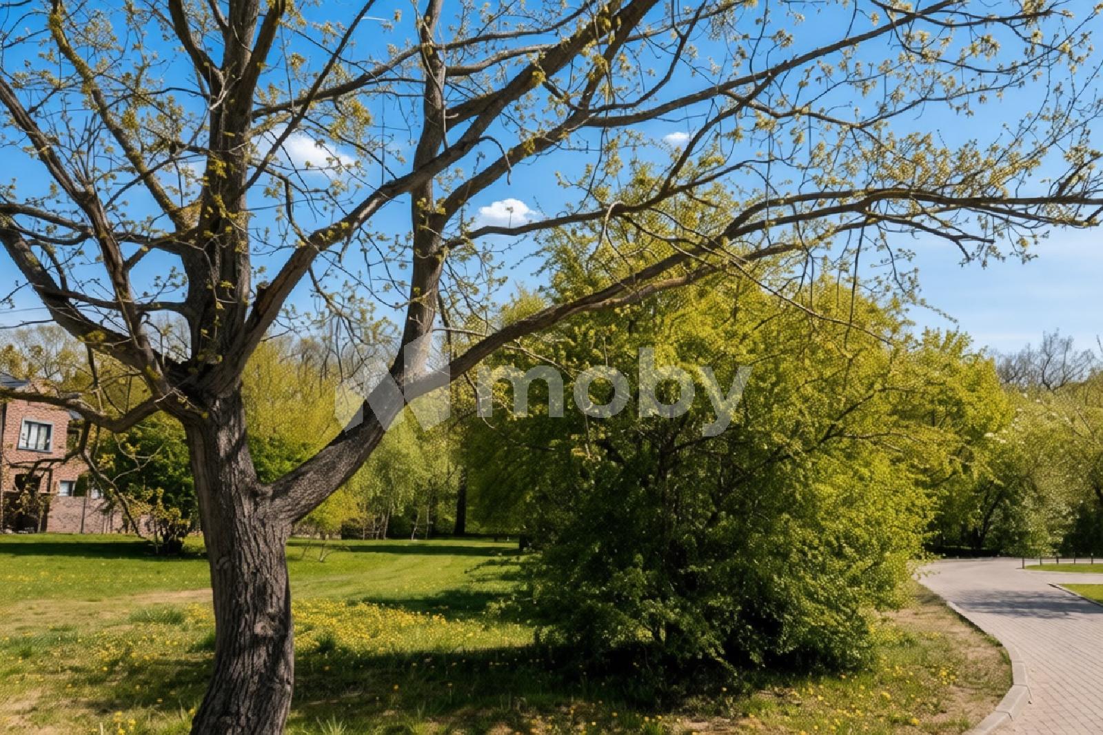 Фото: 6e7ec68f-c8bd-46f3-8d1f-21370244a5c1.jpg