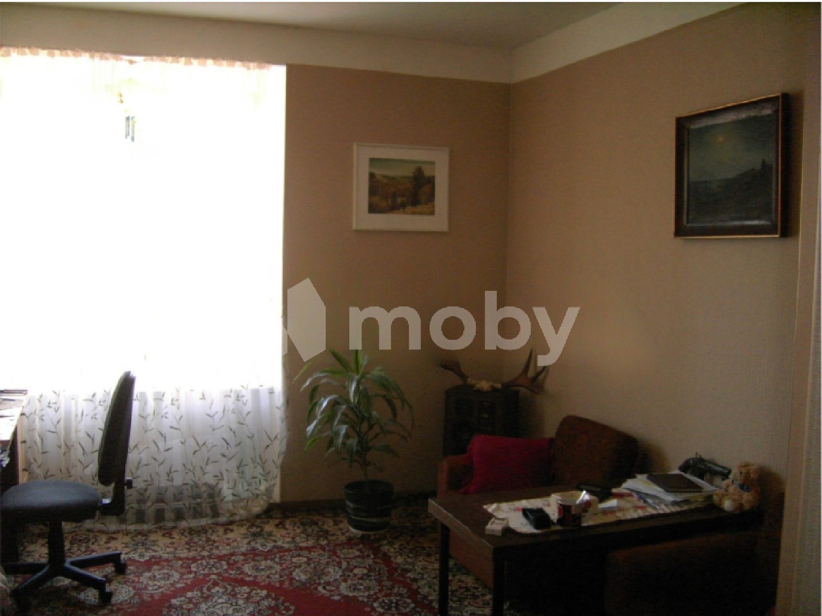 Фото: 6eae2008-e9df-4a53-878d-dd1c32dc3902.png