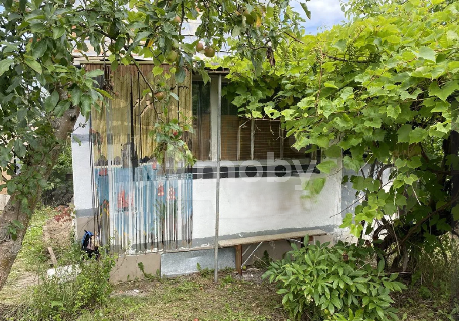 Фото: 6f4d05c5-cc0f-4acf-ad29-12445c08ea02.png