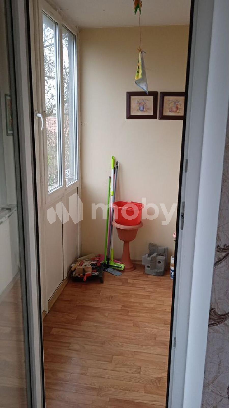 Фото: 6fa2f759-e333-45db-a0e2-fc0dcdfeefff.jpg