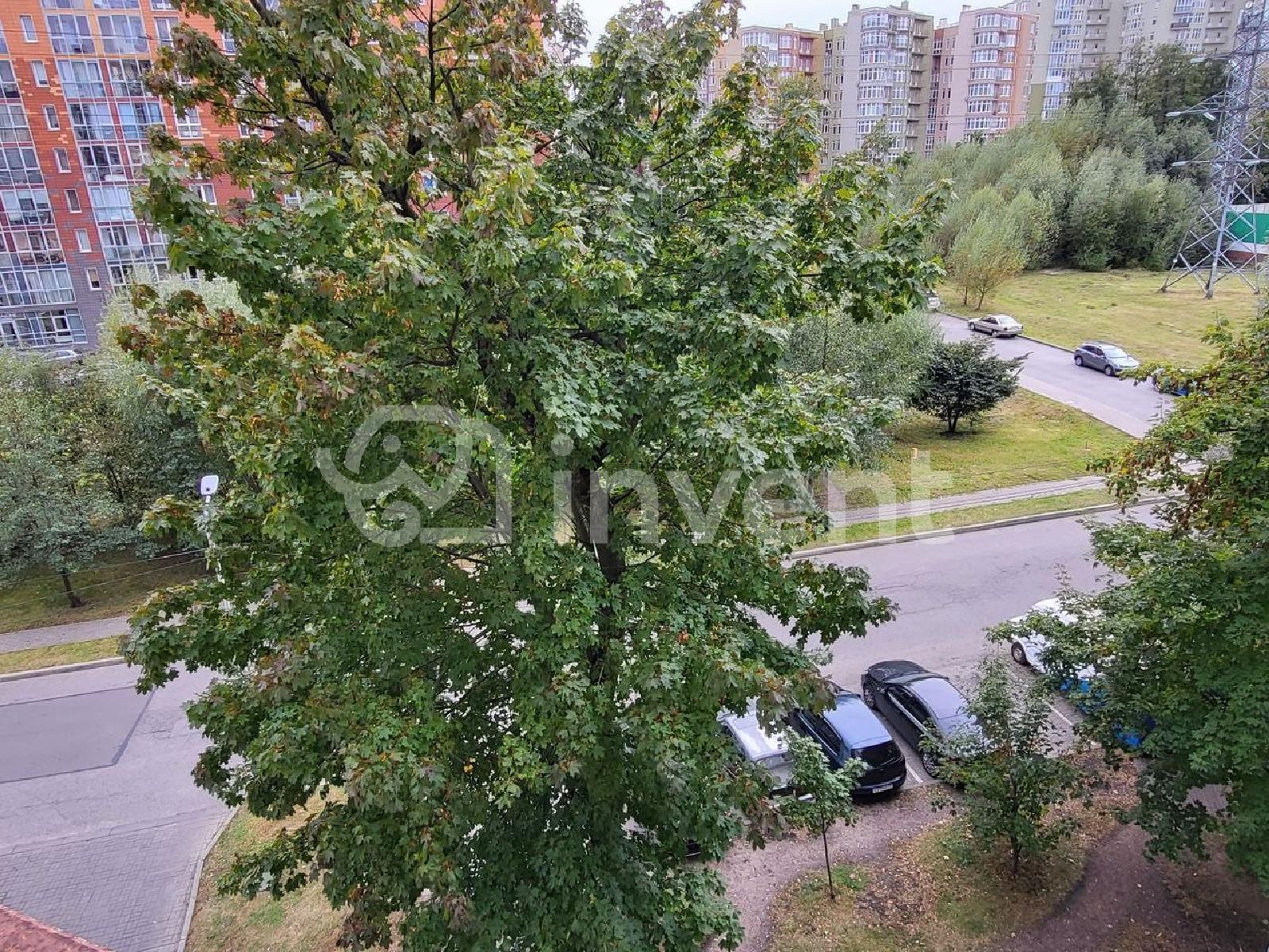 Фото: 6fc17e90-8742-42b0-8bcb-07c1bf10896f.jpg