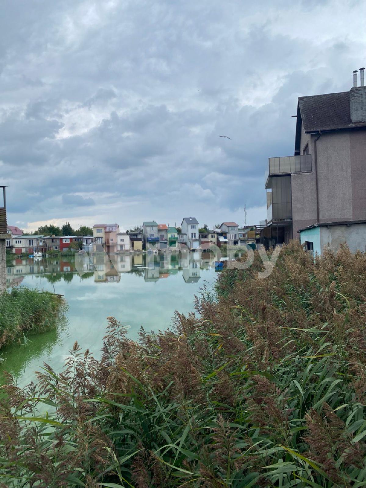 Фото: 712d1cec-17b1-468c-b2d2-de9af221541f.jpg