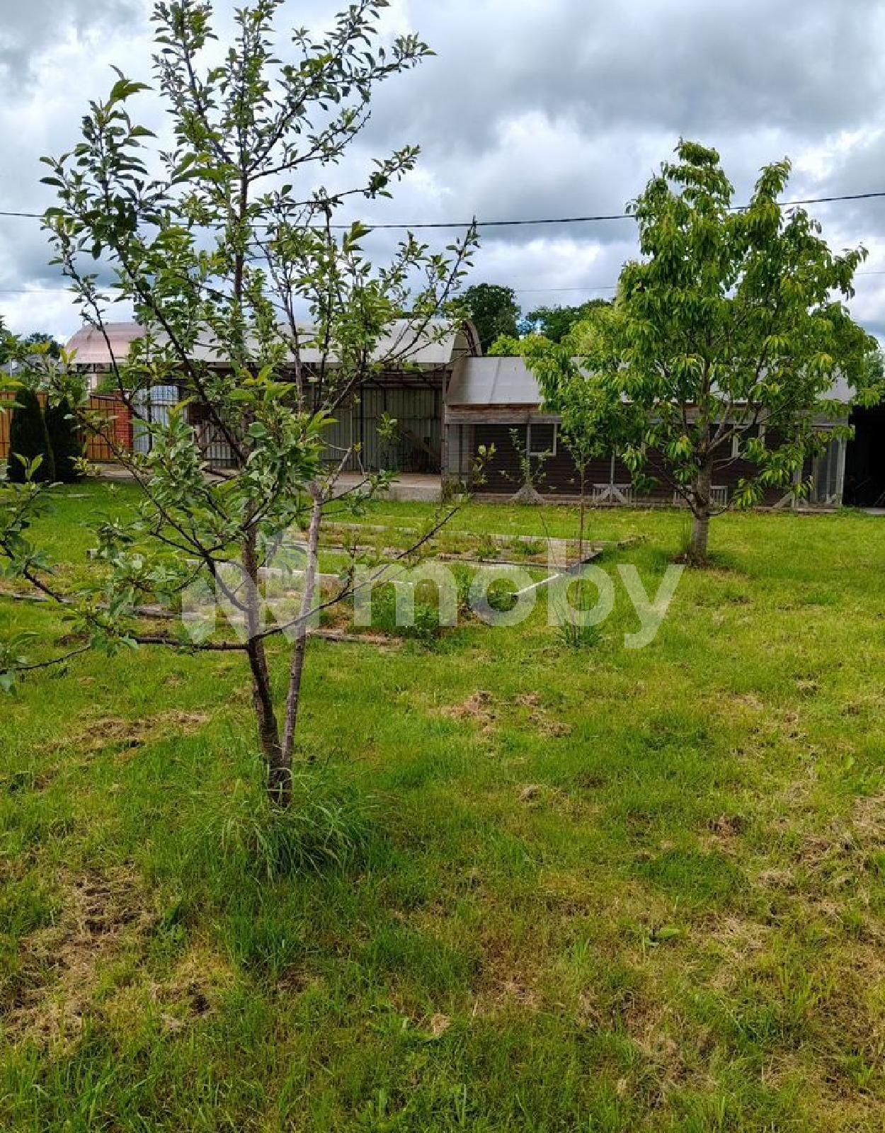 Фото: 73ad10ff-0d25-4c8b-989c-c8d5a02ec3a0.jpg