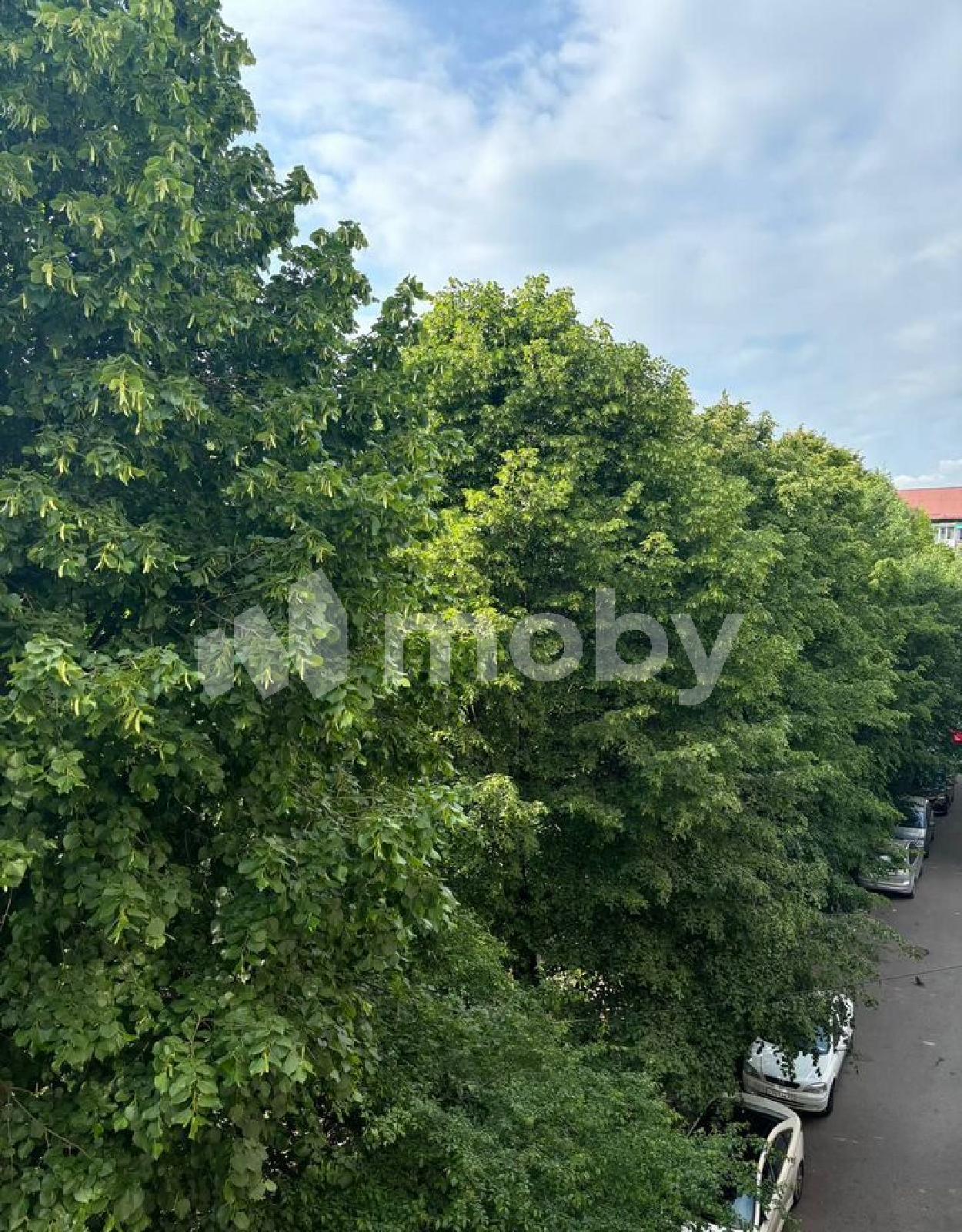 Фото: 74df34a4-da41-4437-9e5f-911fbd940c6d.jpg